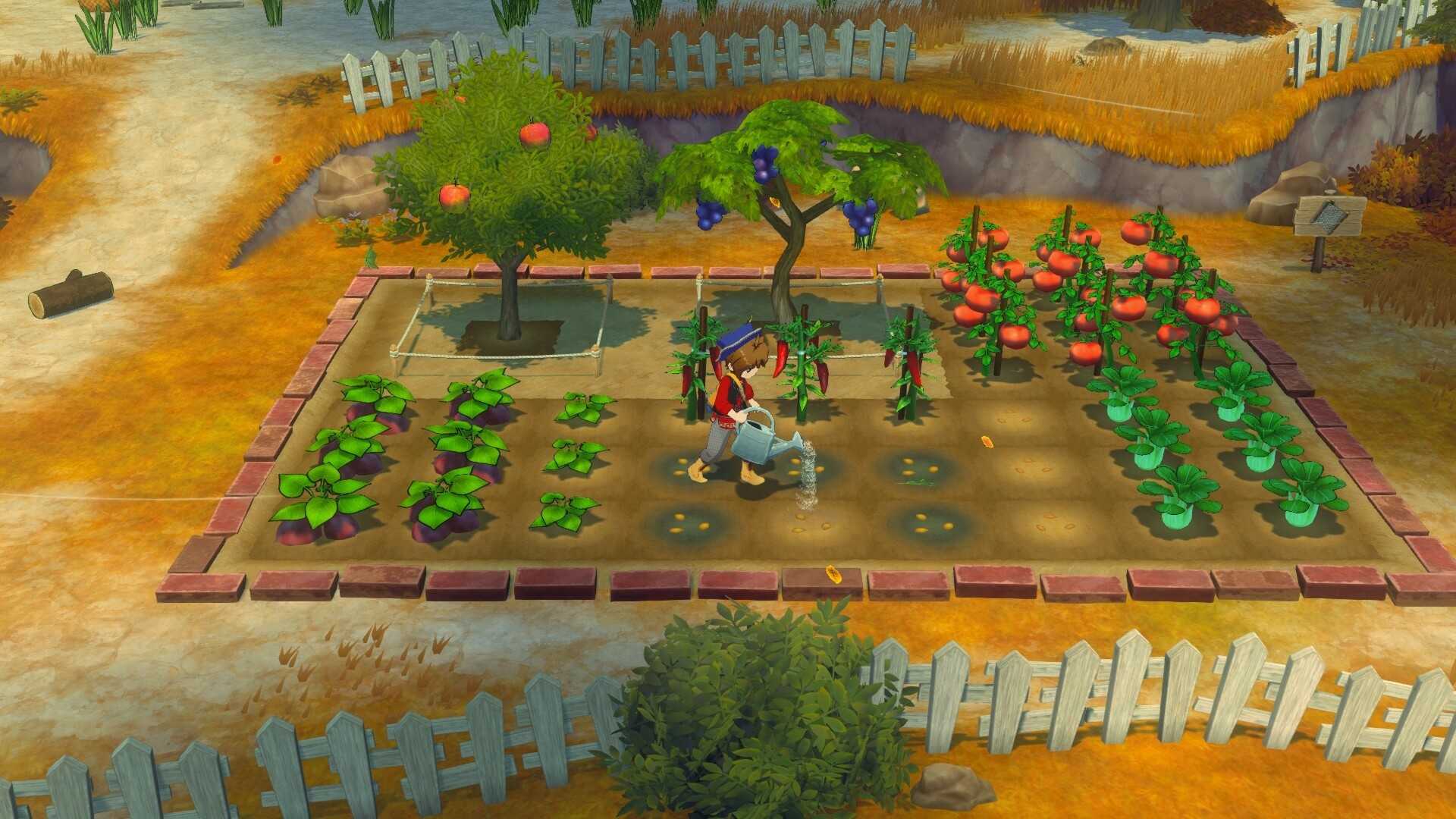 牧场物语 来吧!风之繁华集市/STORY OF SEASONS: Grand Bazaar_0