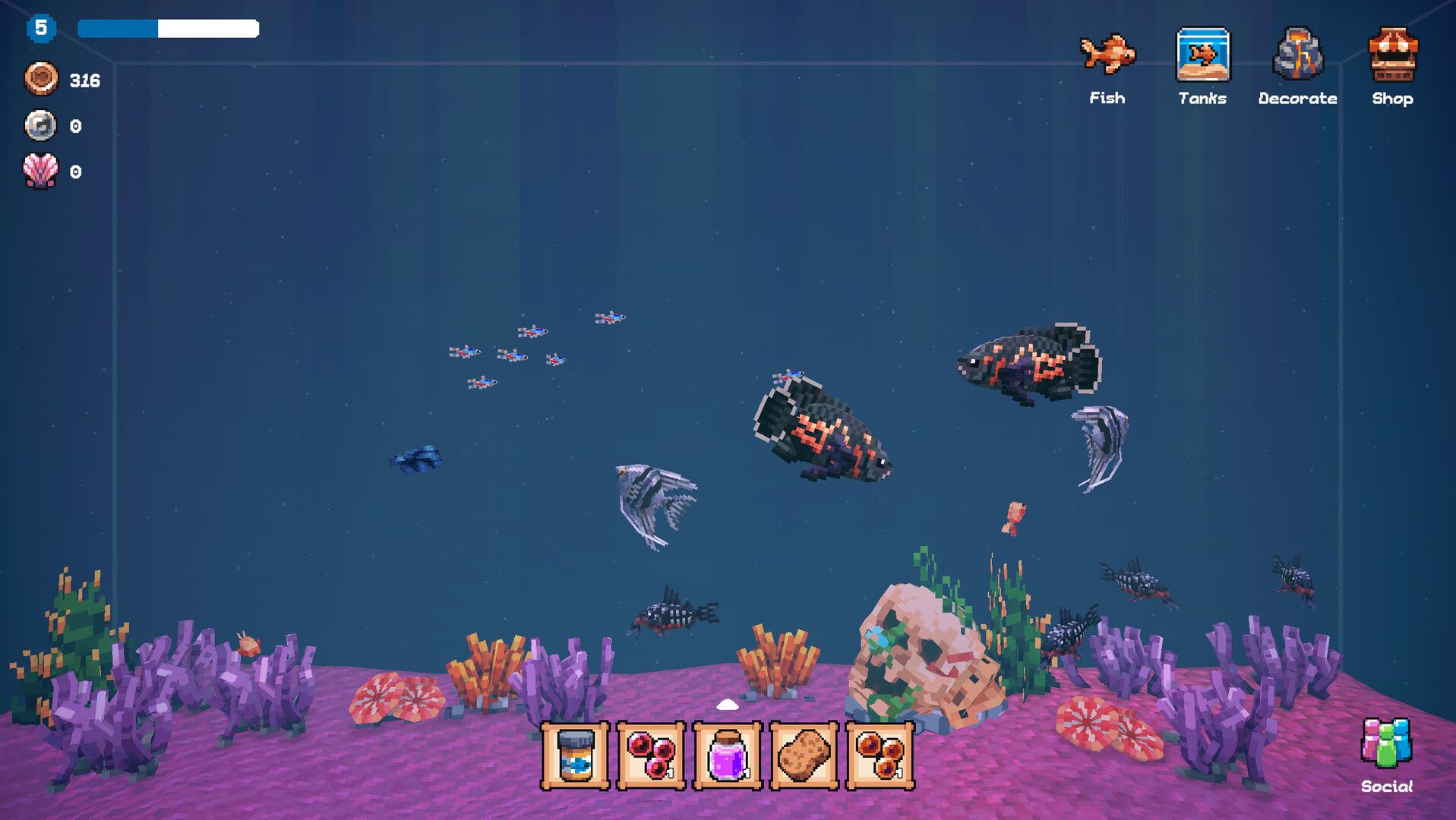 全球鱼友俱乐部:放置好时光/Tiny Aquarium: Social Fishkeeping_4