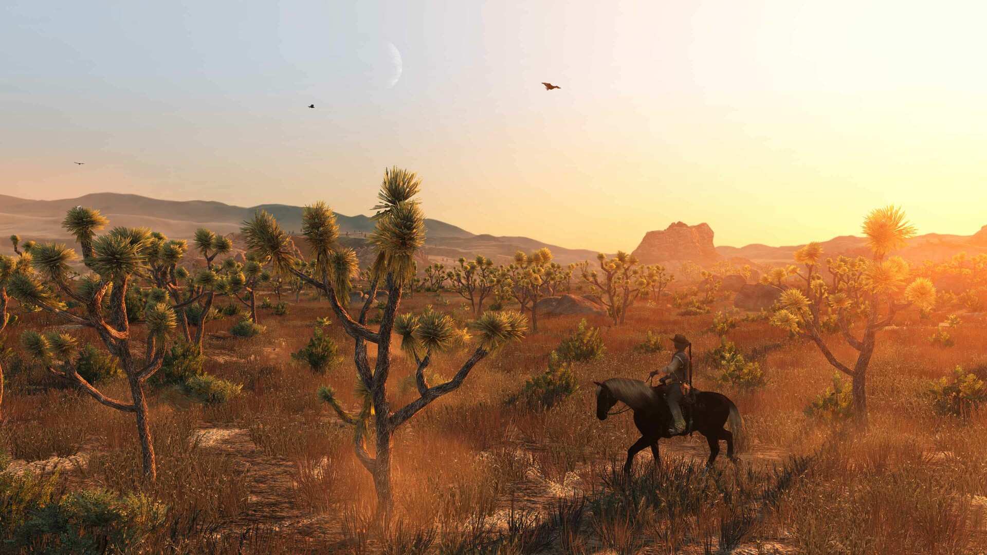荒野大镖客:救赎/Red Dead Redemption_3