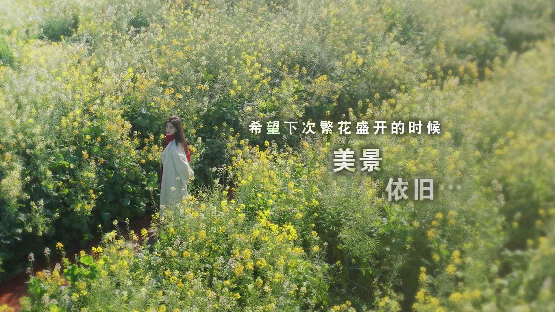 这个是真的喜欢!/I've Fallen For You!_0