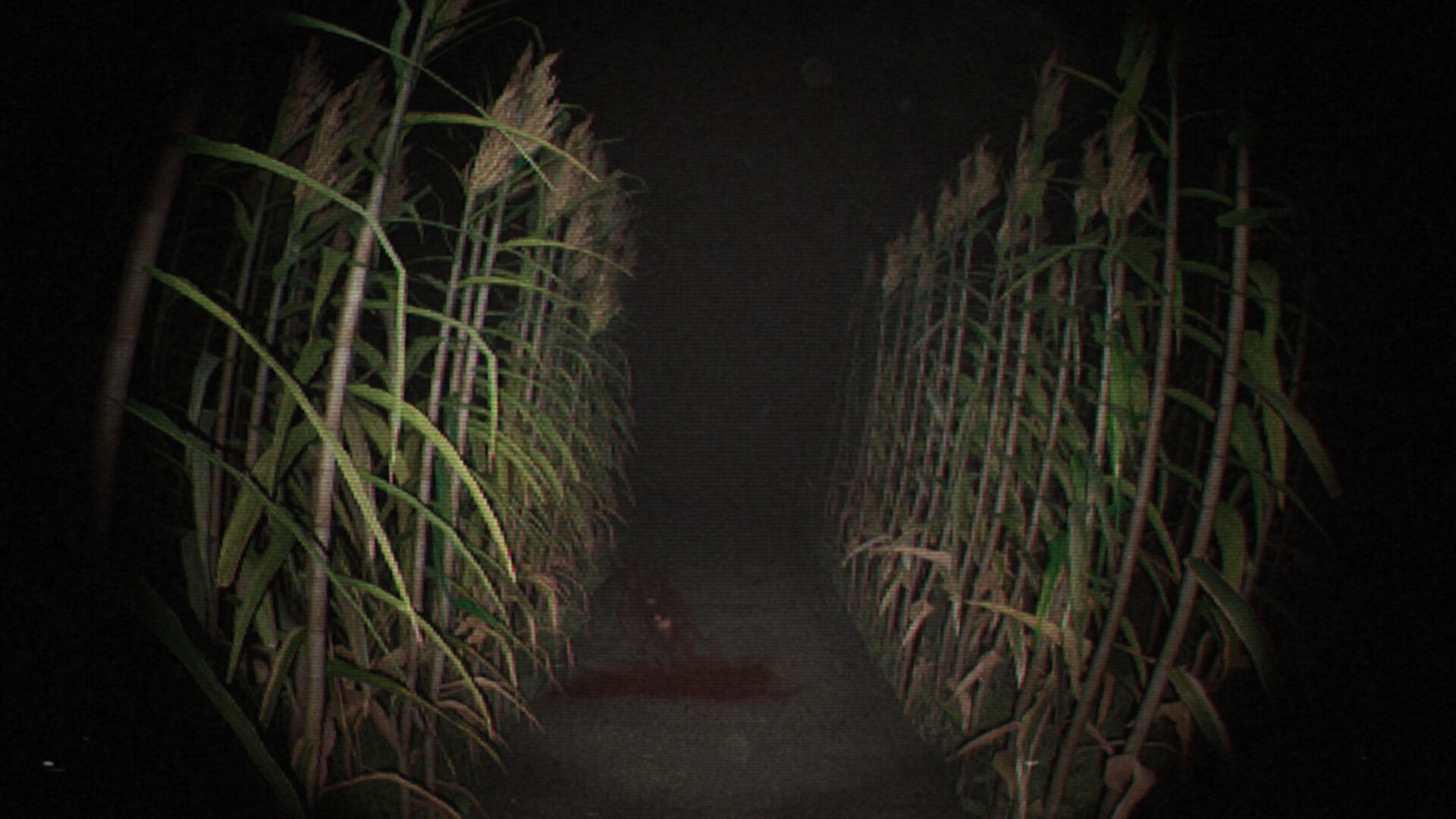 诡影实录/Unknown Tapes_0