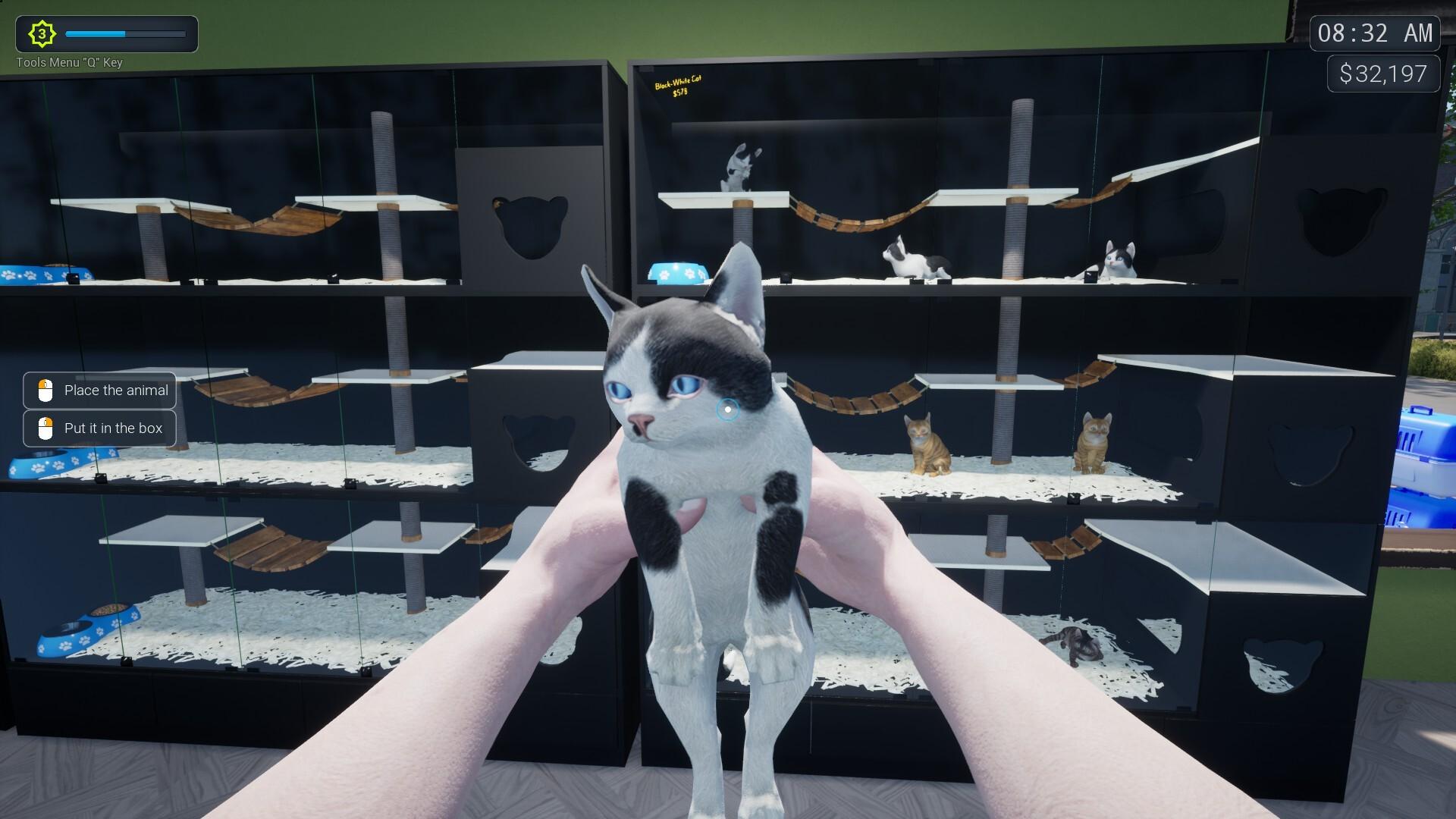异域风情2：宠物店模拟器/Exotica 2: Pet Shop Simulator_0