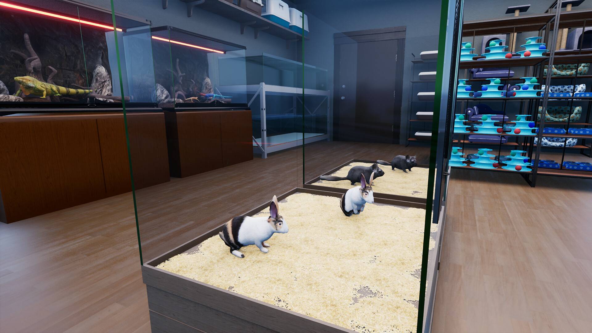 异域风情2：宠物店模拟器/Exotica 2: Pet Shop Simulator_1