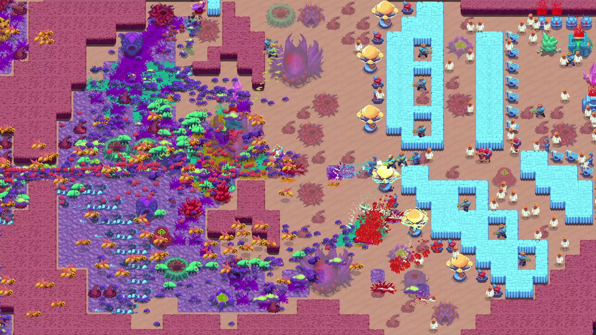 虫群霸主2/Buggos 2_1