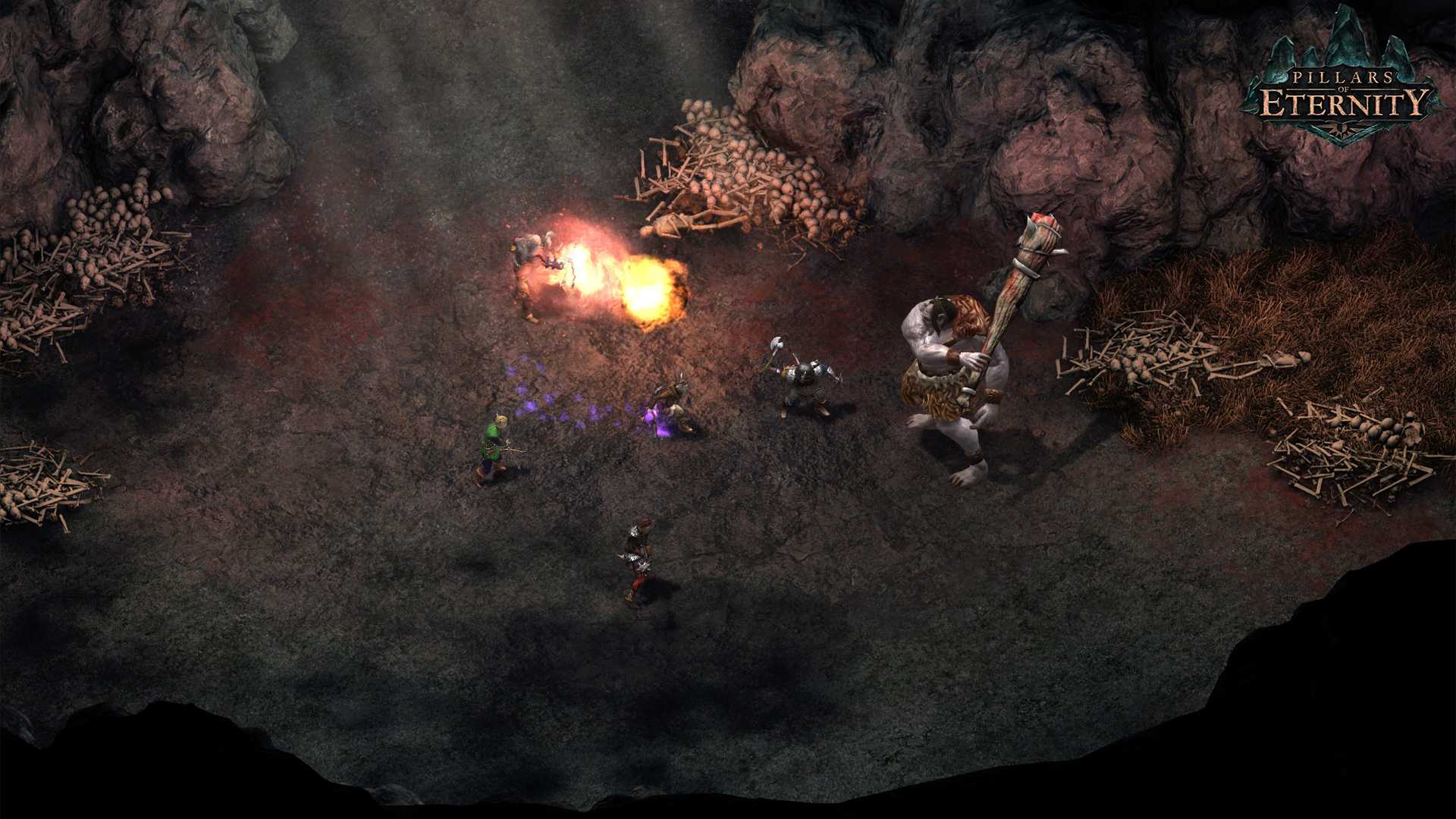 永恒之柱/Pillars of Eternity_5