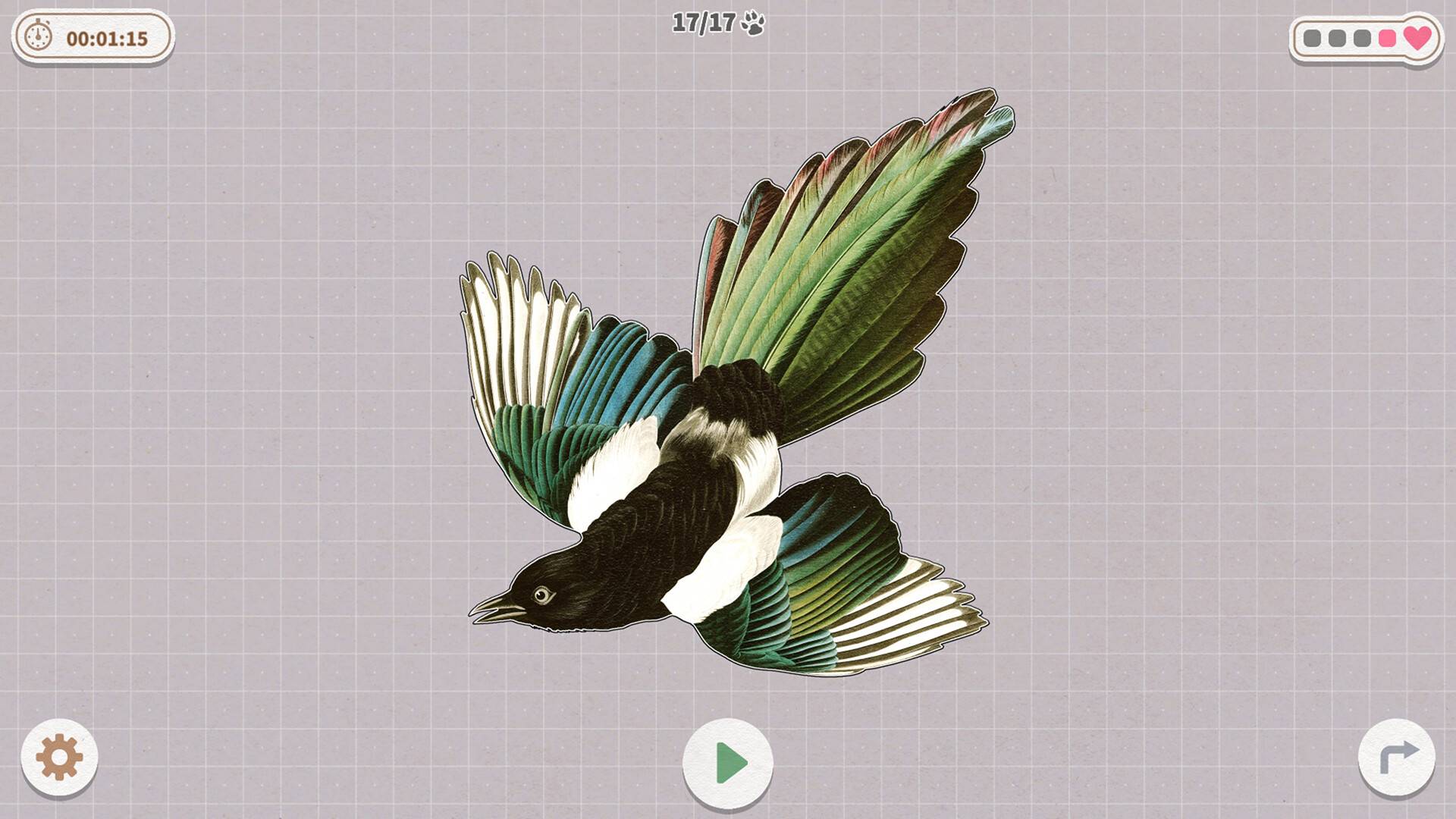 挤在一起的鸟鸟/Birds Huddled Together_1