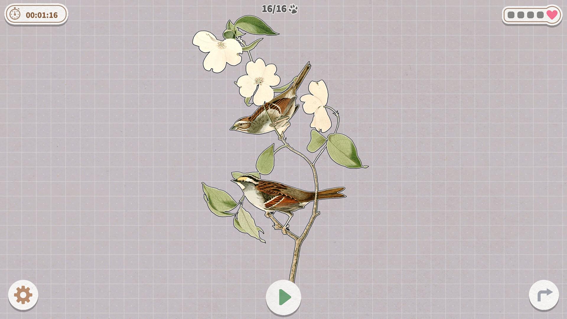 挤在一起的鸟鸟/Birds Huddled Together_3