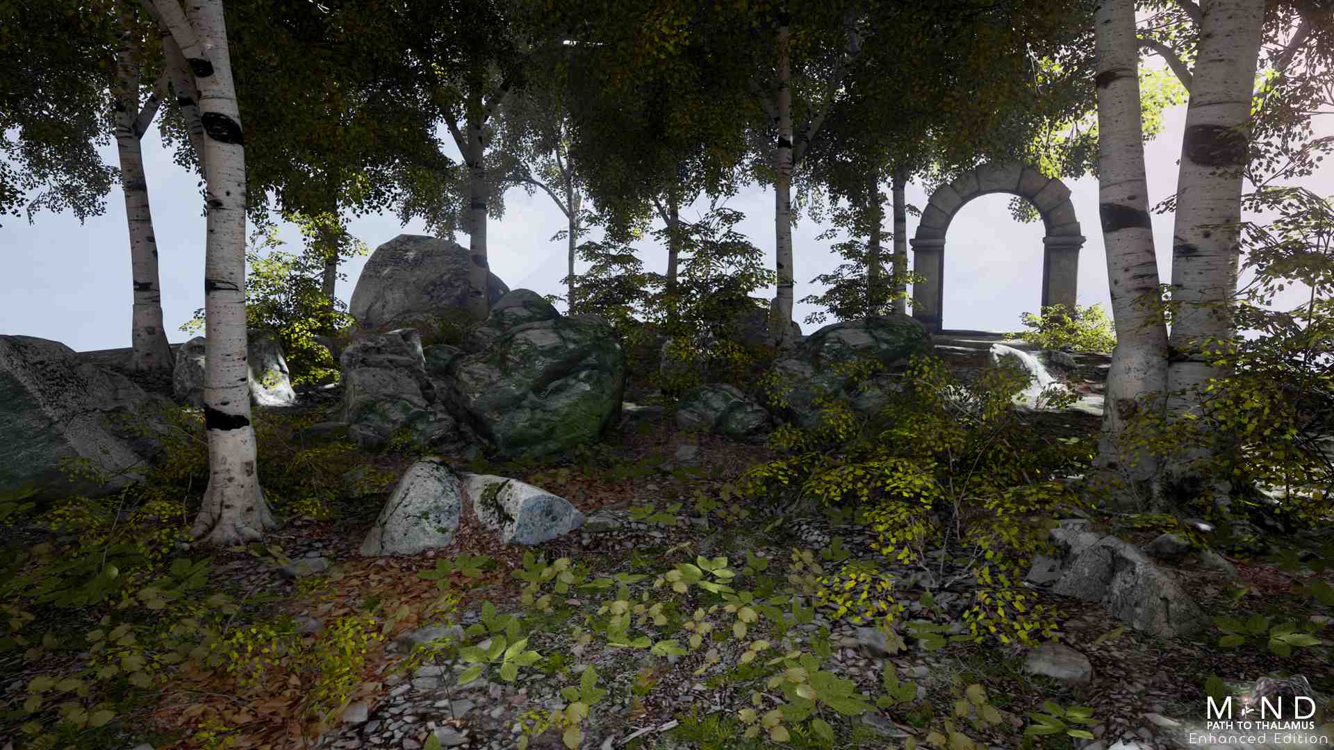 心智:视丘之径/MIND: Path to Thalamus Enhanced Edition_0