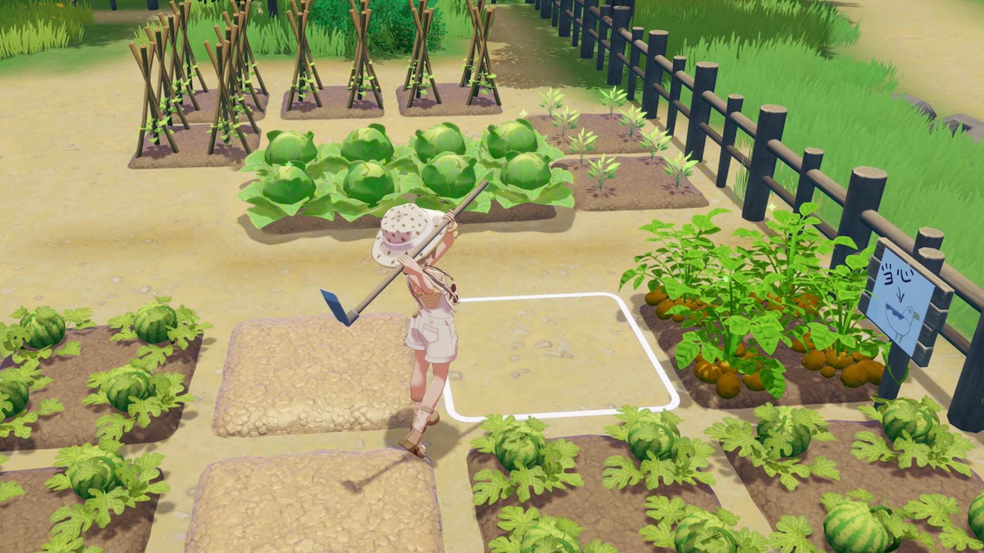 星砂岛/Starsand Island_1