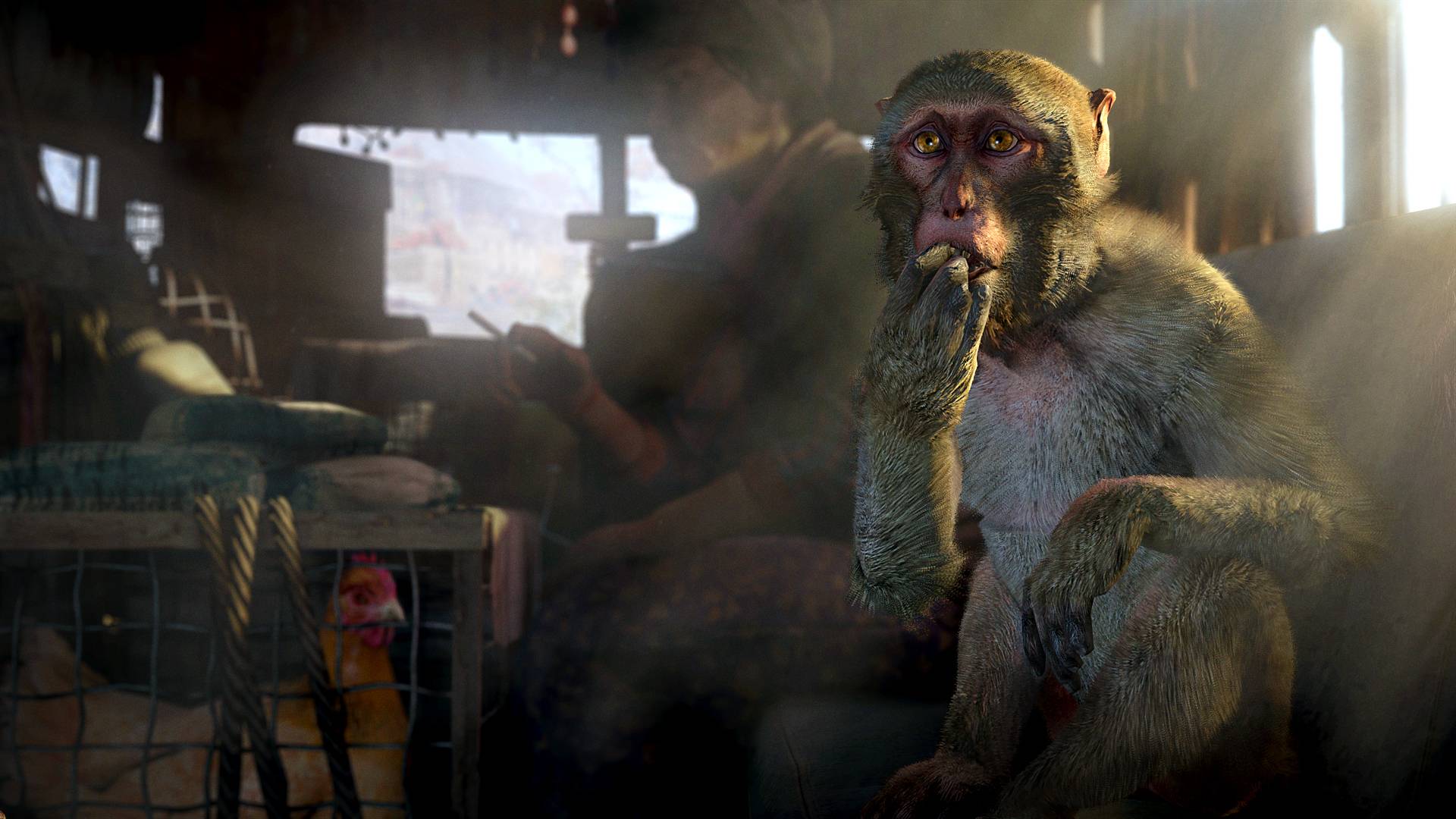 孤岛惊魂4/Far Cry 4_2