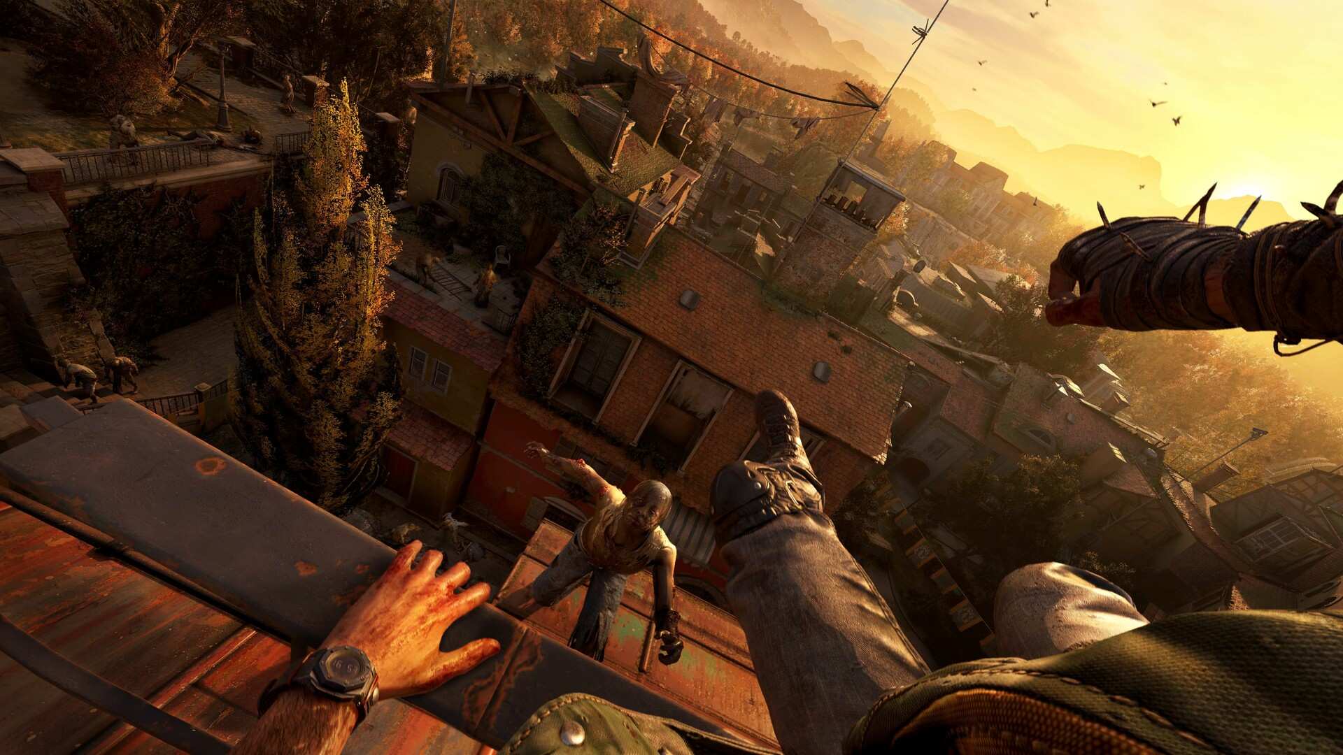 消逝的光芒:困兽/Dying Light: The Beast_5
