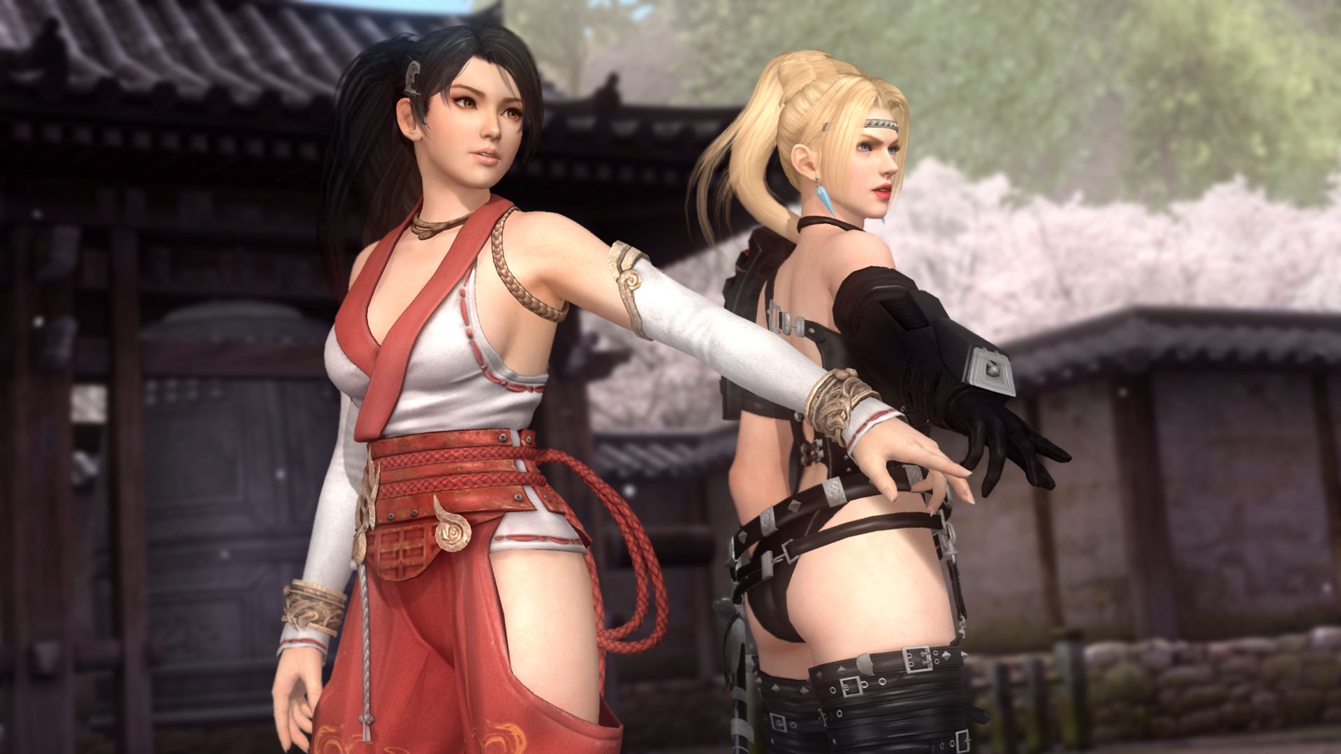 死或生5:最后一战/Dead or Alive 5:Last Round_3