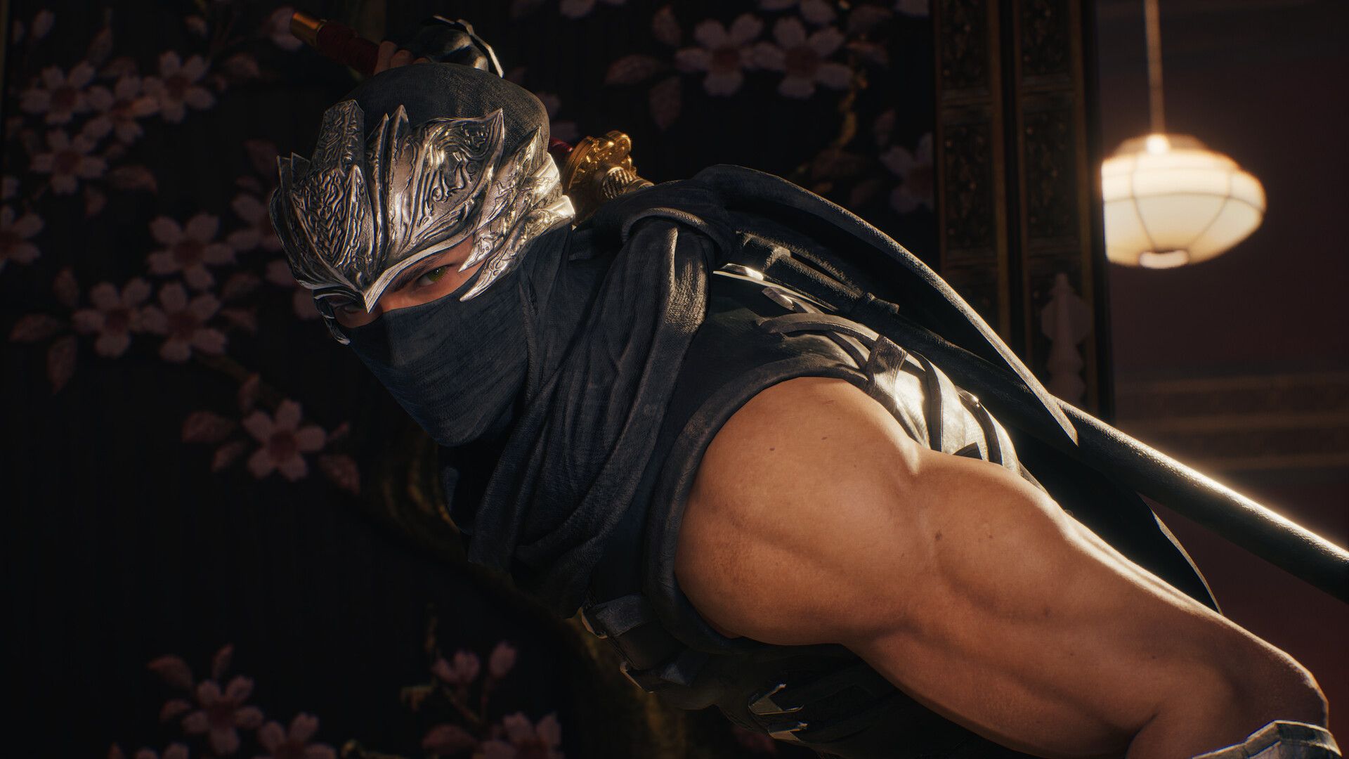 忍者龙剑传2：黑之章/NINJA GAIDEN 2 Black_3