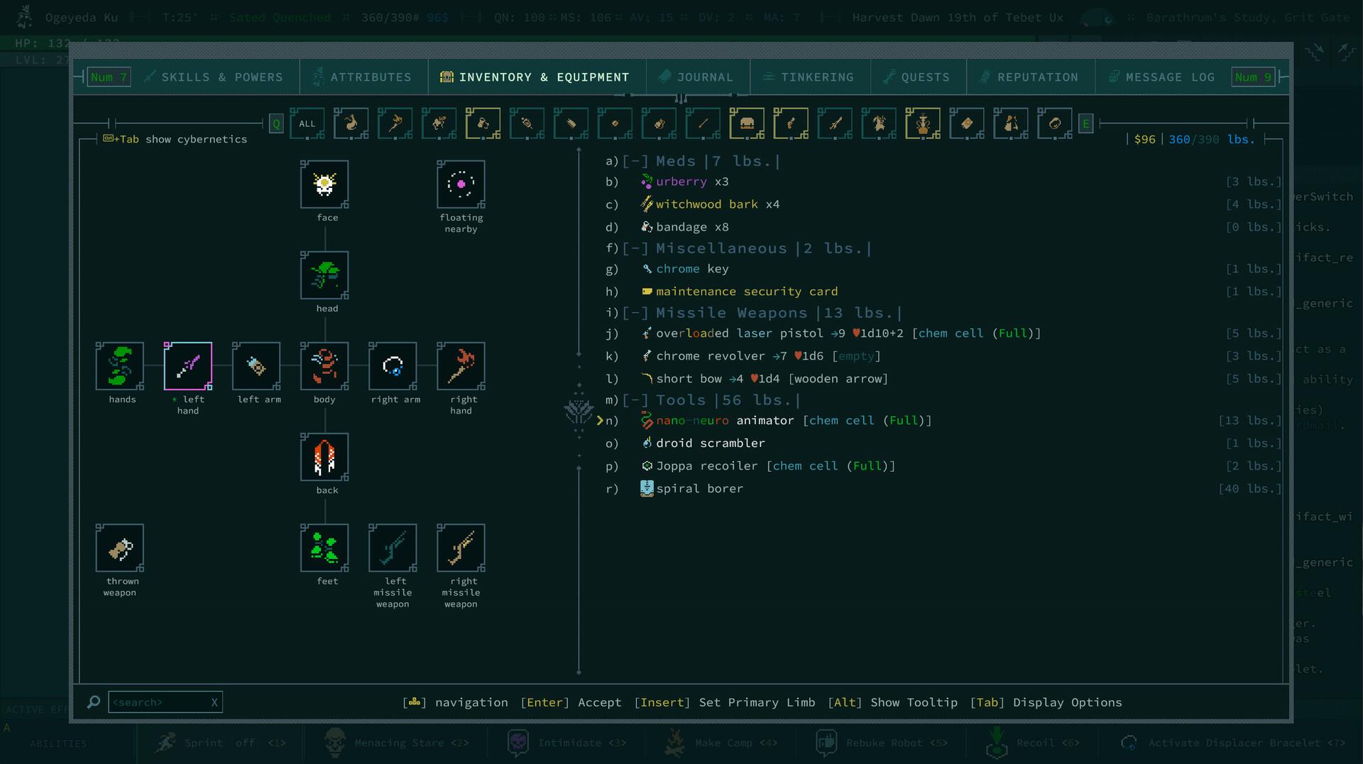 卡德洞窟/Caves of Qud_1