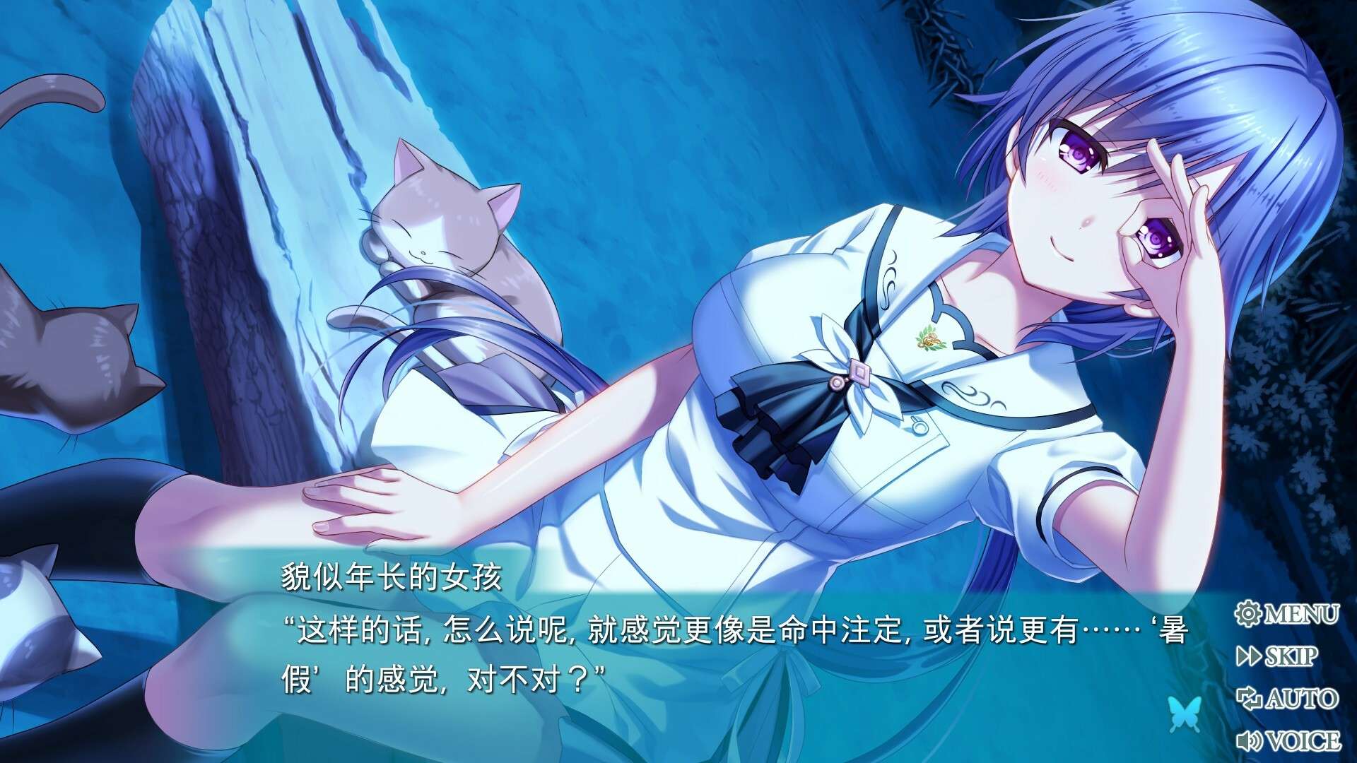 夏日口袋:流光蓝/Summer Pockets REFLECTION BLUE_5