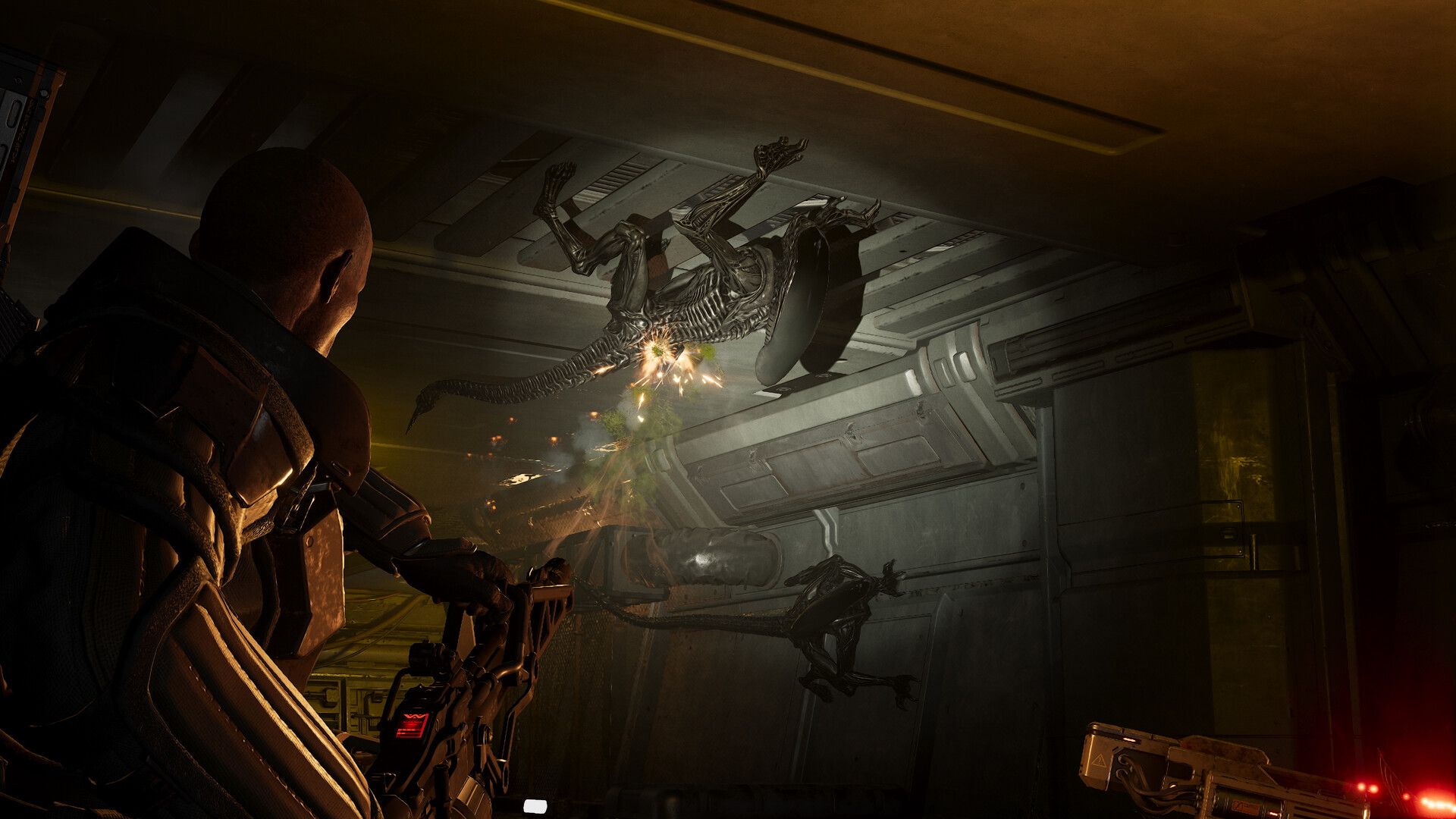 异形:火力精英2/Aliens: Fireteam Elite 2_2