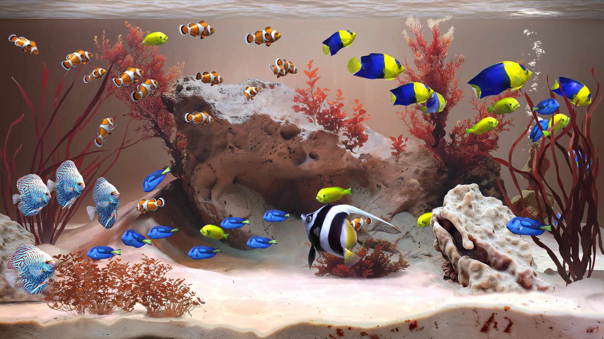禅意水族馆/Zen Aquarium_1