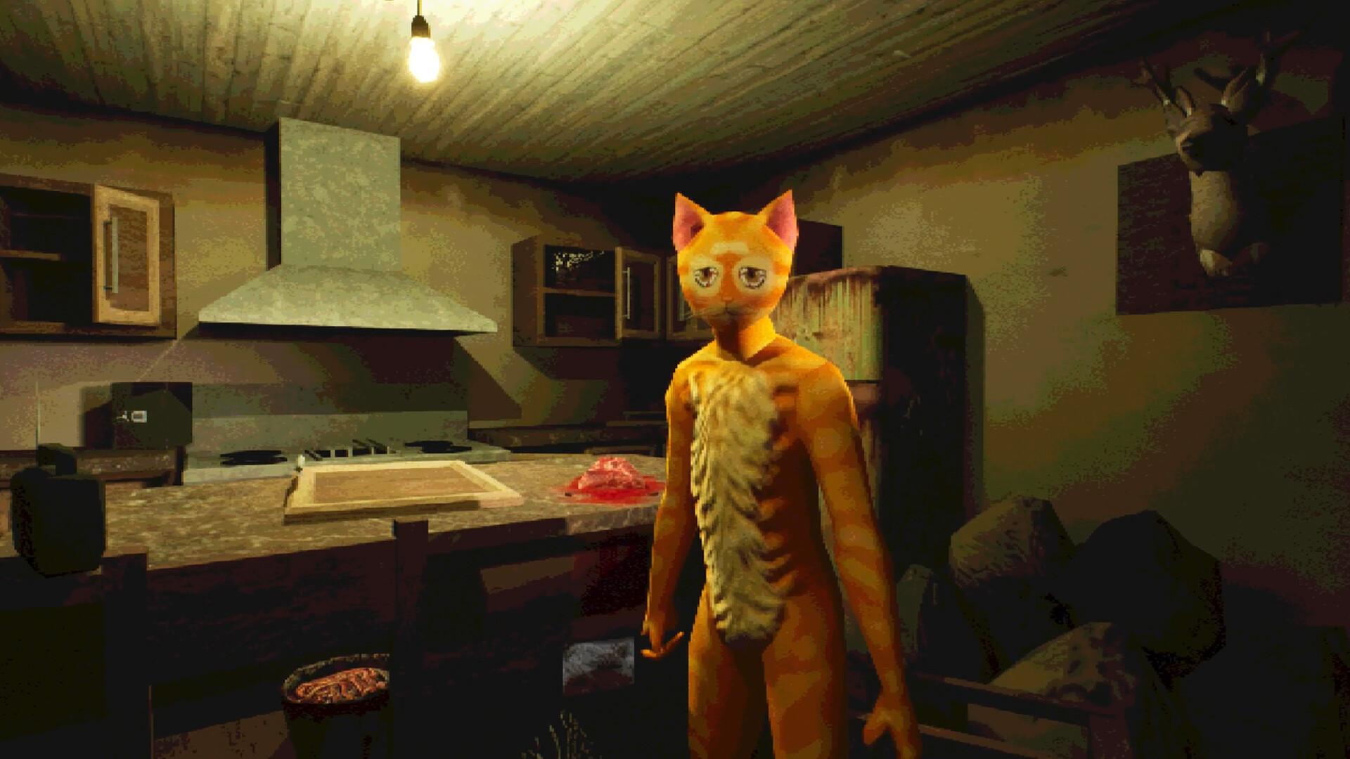 莫哈维之猫/Cat Named Mojave_0