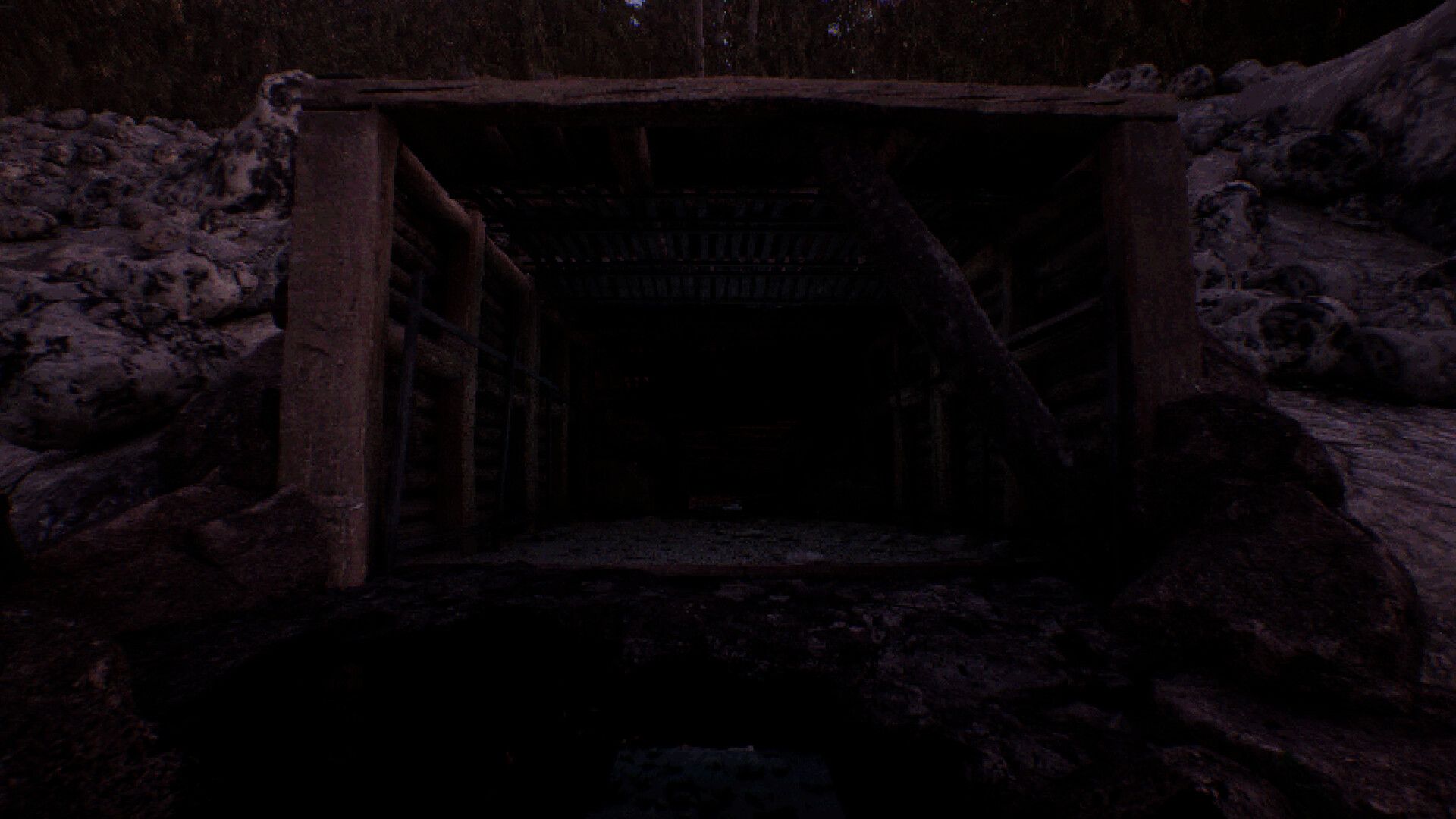 凝视之林:虱子/The Watching Woods: The Louse_4
