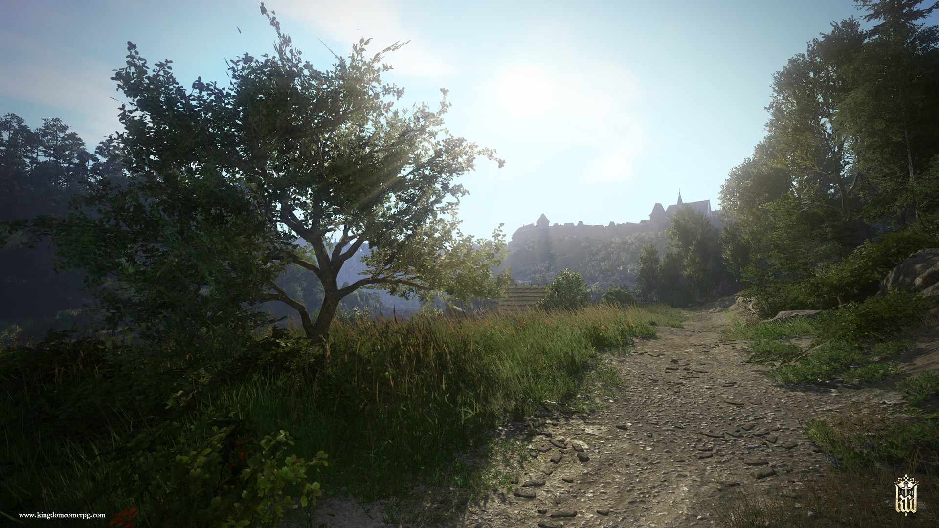 天国:拯救/Kingdom Come: Deliverance_7