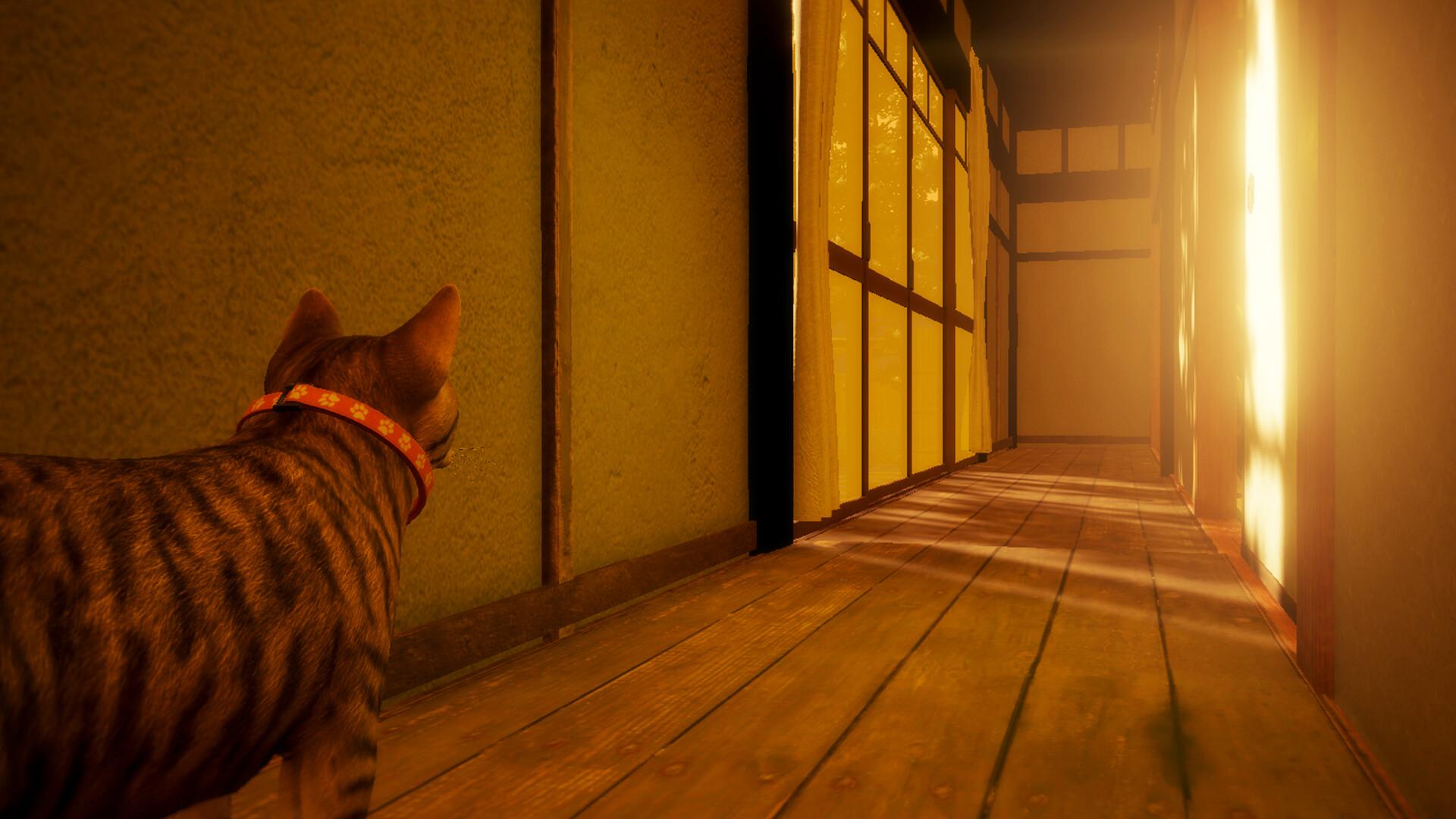 猫还在逃吗?/Still It Runs_1