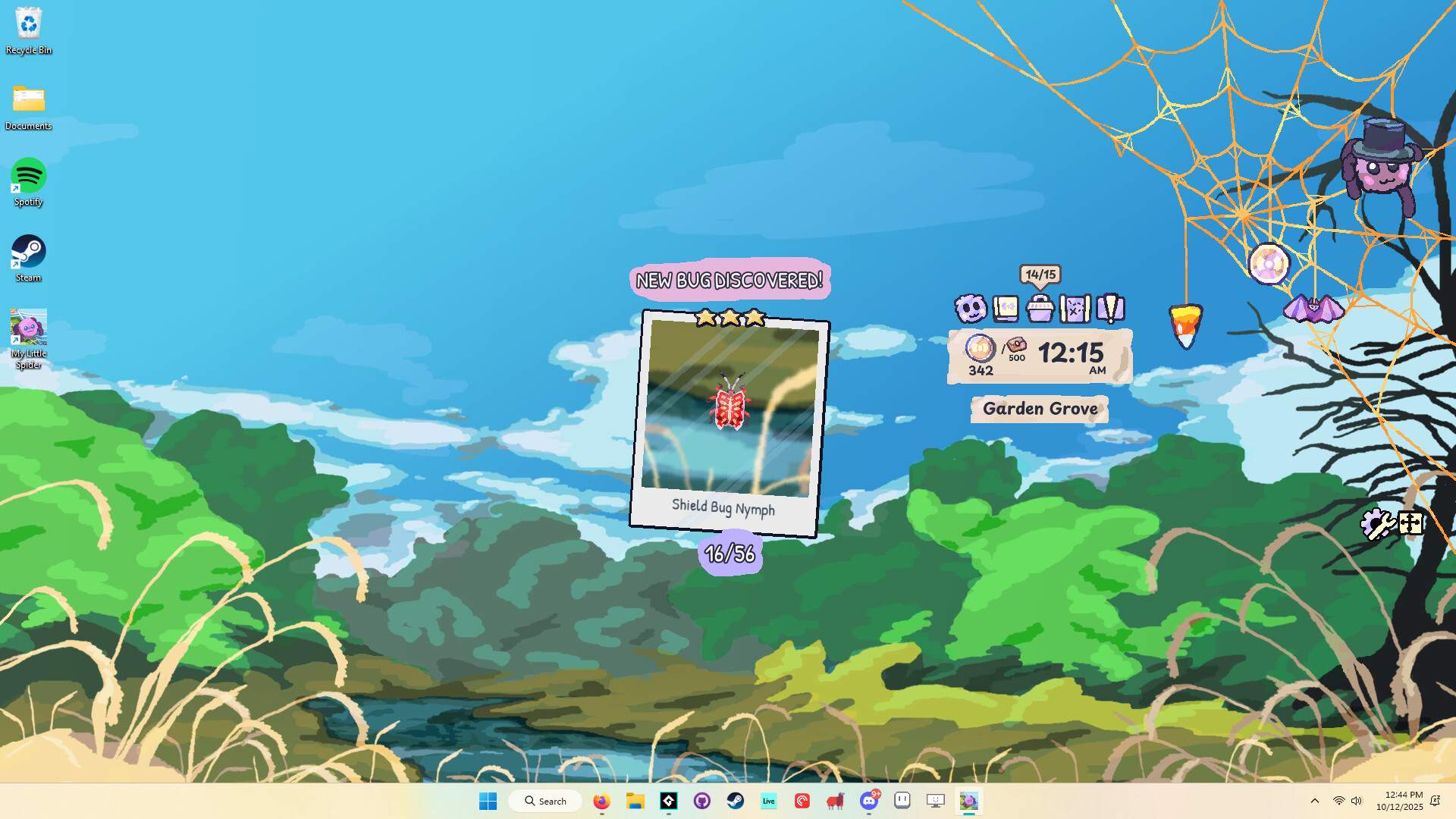 我的小小蜘蛛/My Little Spider_0