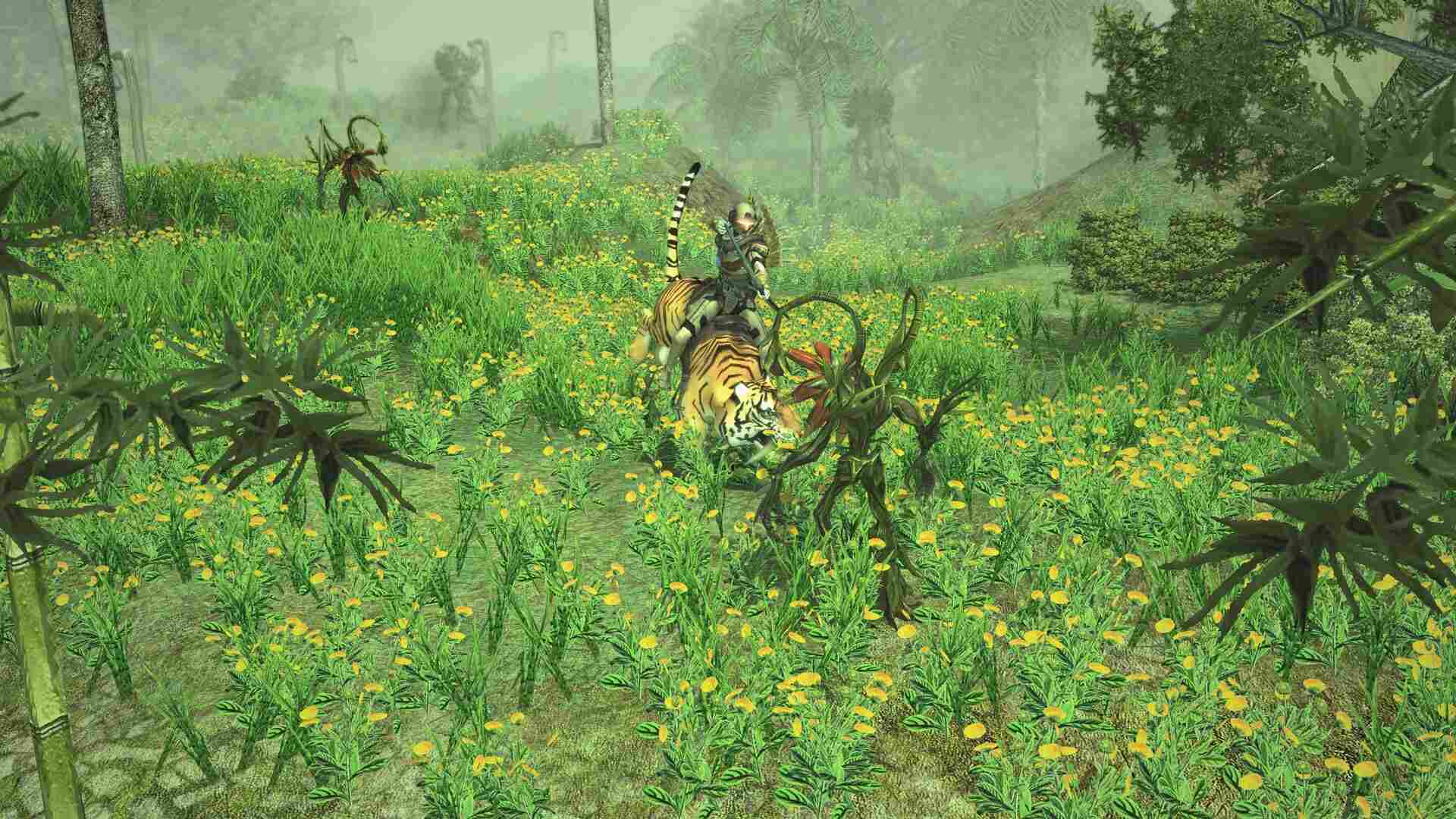 圣域2:重制版/Sacred 2 Remaster_5