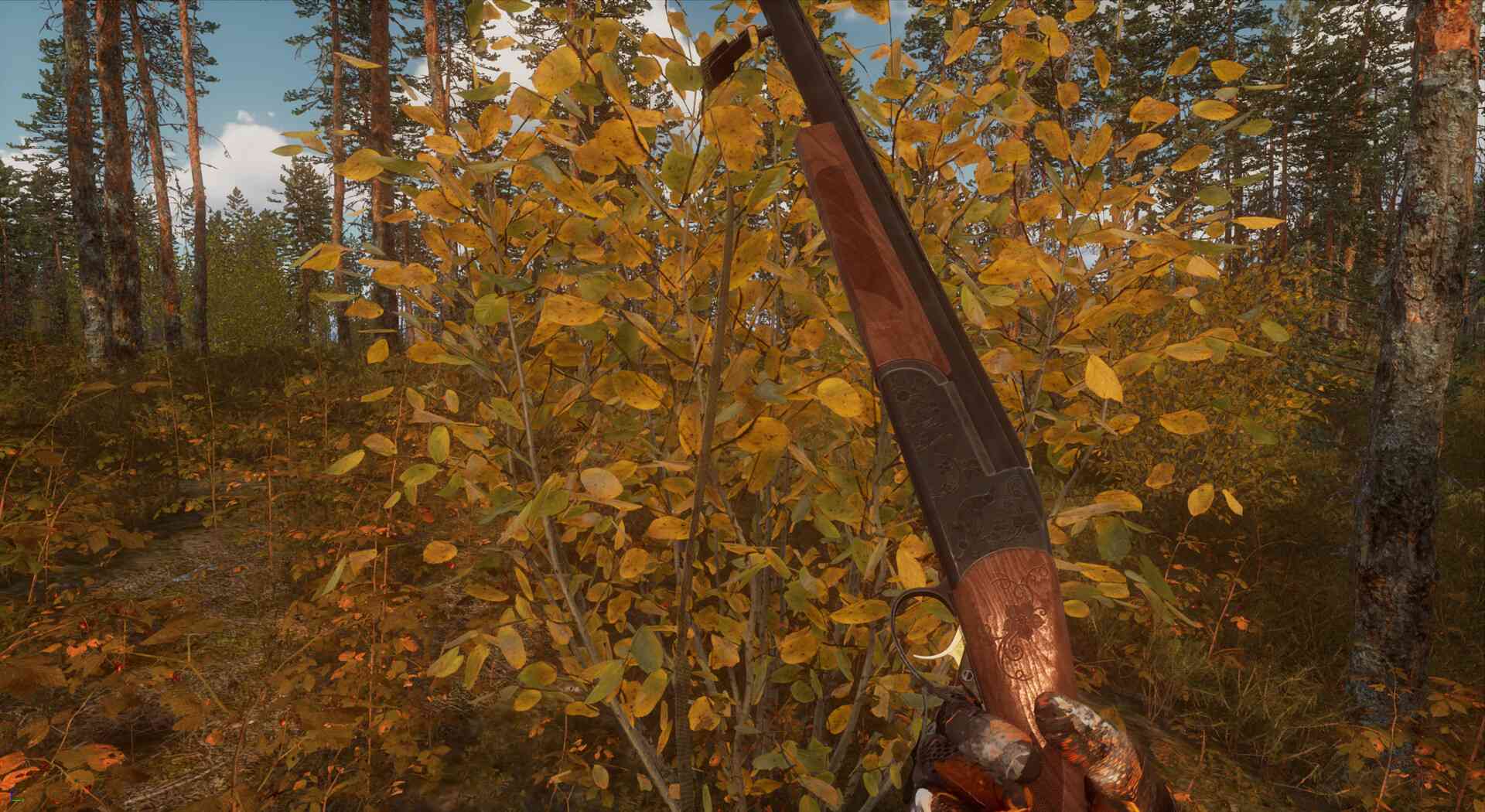 BULT：狩猎模拟器/BULT: Hunting simulator_5