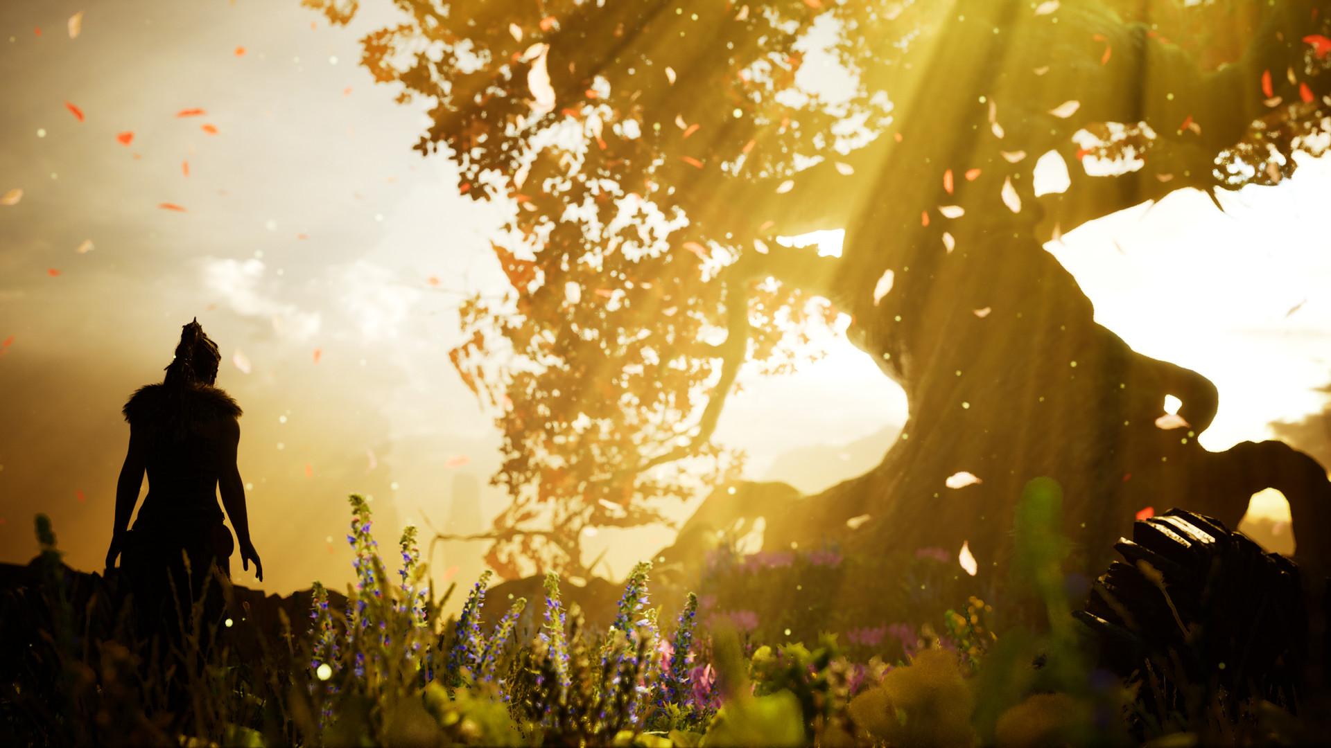 地狱之刃:塞娜的献祭/Hellblade: Senua's Sacrifice_5