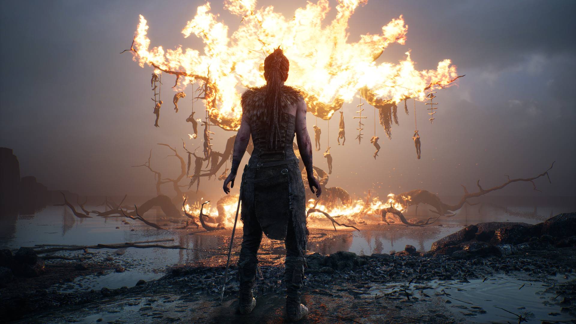 地狱之刃:塞娜的献祭/Hellblade: Senua's Sacrifice_4
