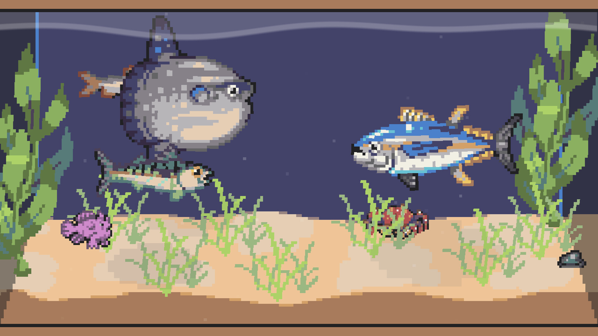 渔诱水族馆/Lured In_2
