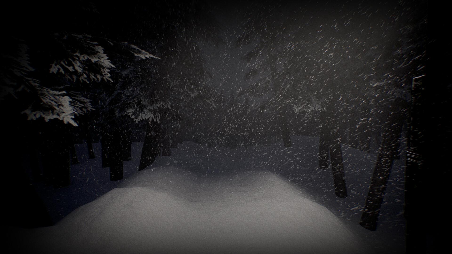苍白沉寂/White Silence_1
