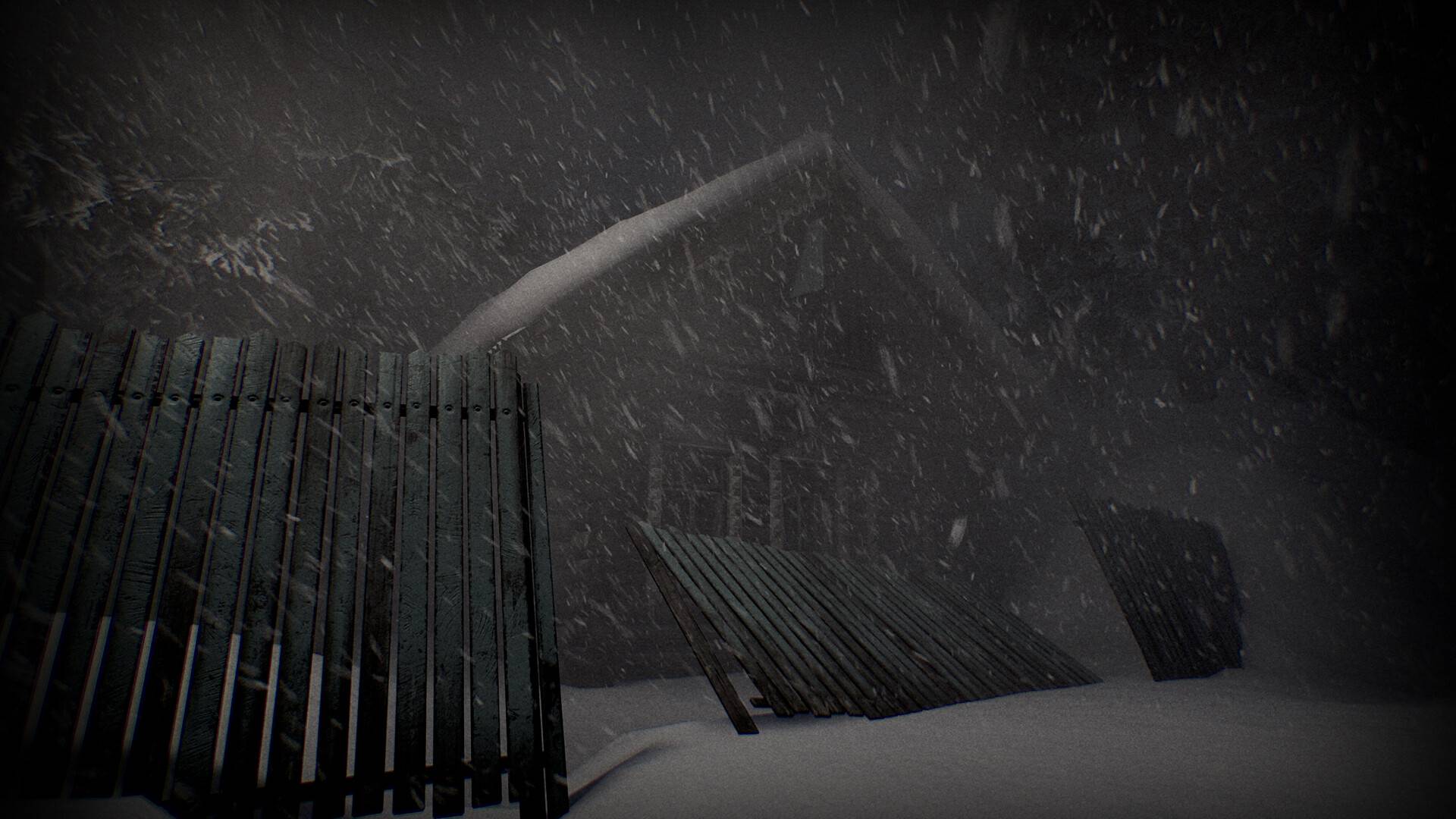 苍白沉寂/White Silence_4