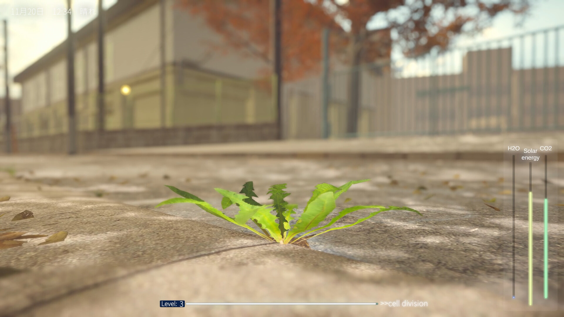 蒲公英不屈。/The Dandelion Endures._0