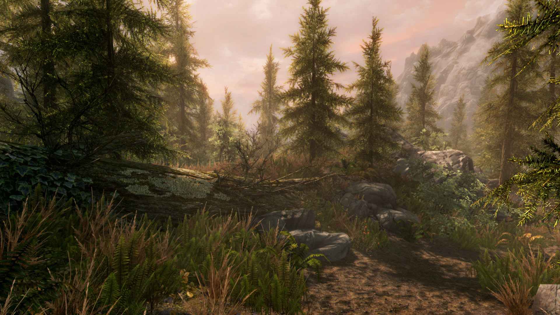 上古卷轴5:周年纪念版/上古卷轴5:天际10周年重制版/The Elder Scrolls V: Skyrim Special Edition_6