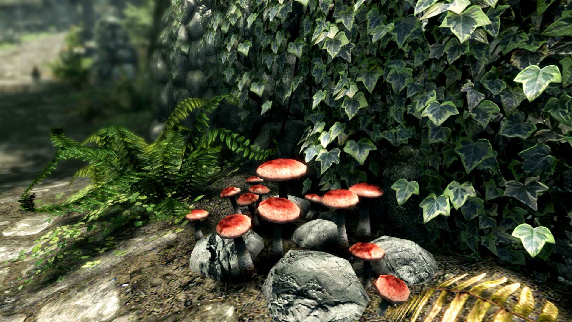 上古卷轴5:周年纪念版/上古卷轴5:天际10周年重制版/The Elder Scrolls V: Skyrim Special Edition_5