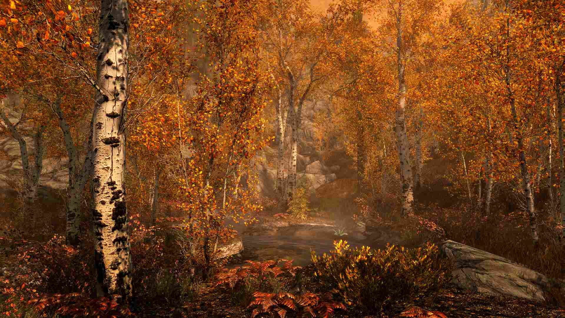 上古卷轴5:周年纪念版/上古卷轴5:天际10周年重制版/The Elder Scrolls V: Skyrim Special Edition_2