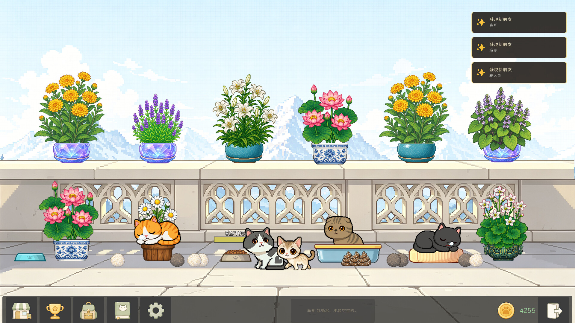 花开猫来/Bloom Cats_3
