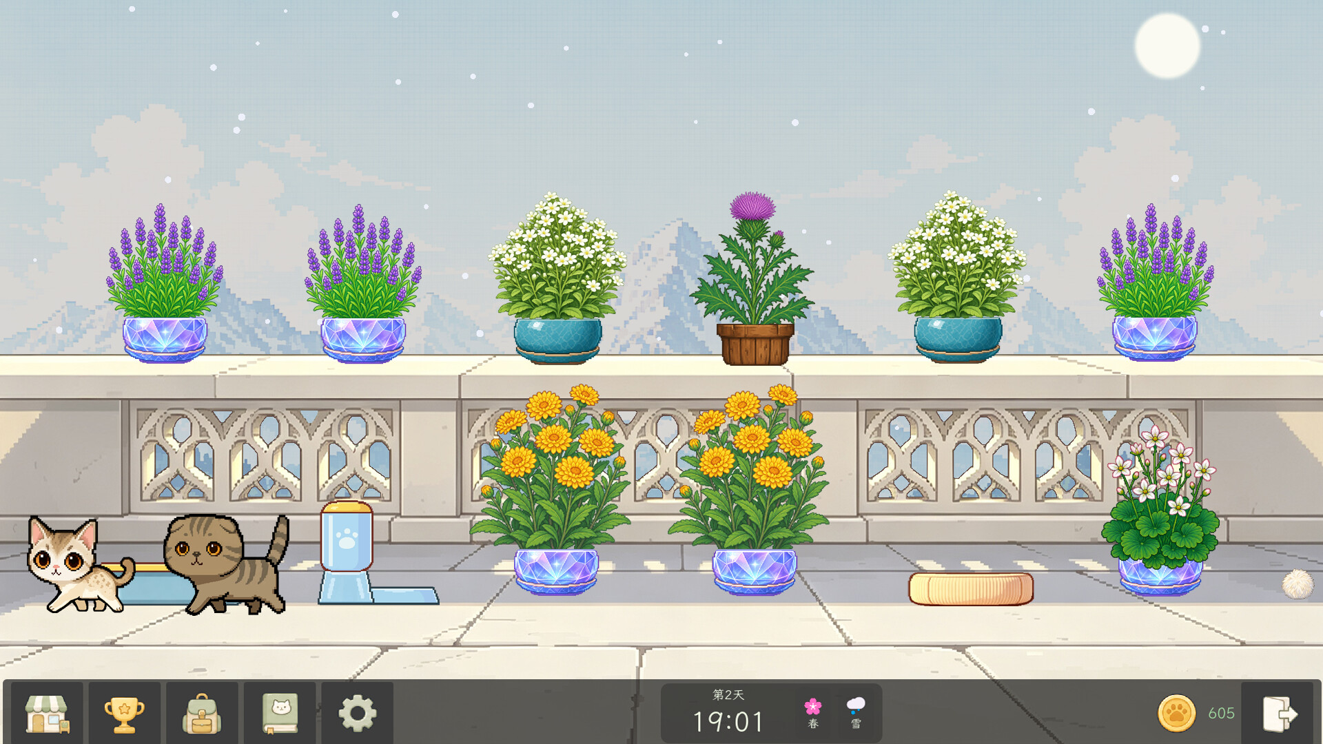 花开猫来/Bloom Cats_1