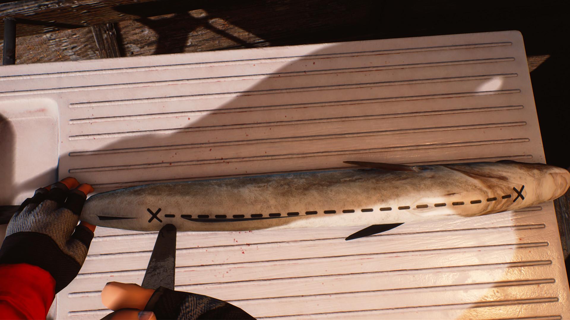 钓鱼:巴伦支海/捕鱼:巴伦支海/Fishing: Barents Sea_3
