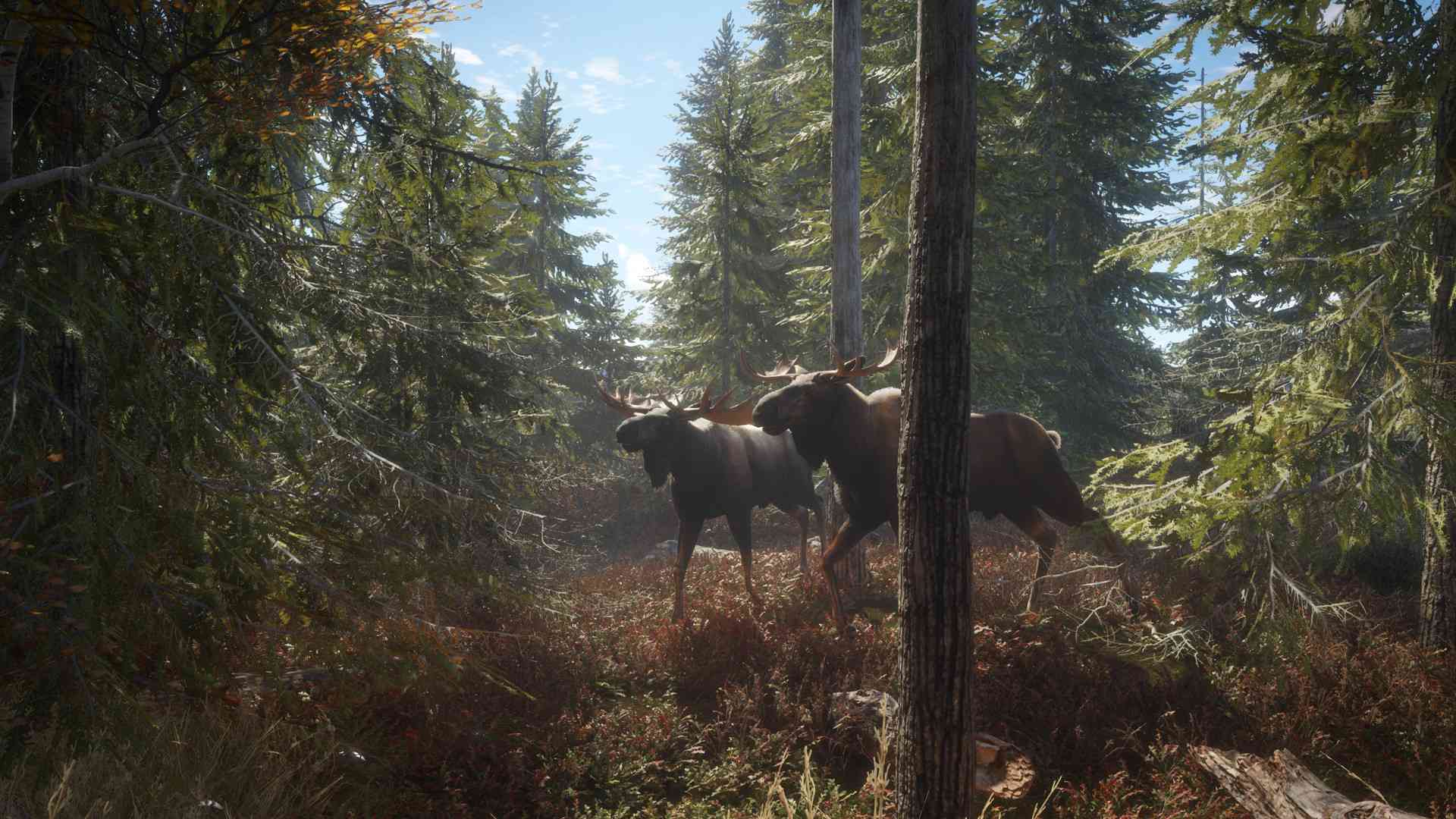 猎人:荒野的召唤/theHunter: Call of the Wild_0