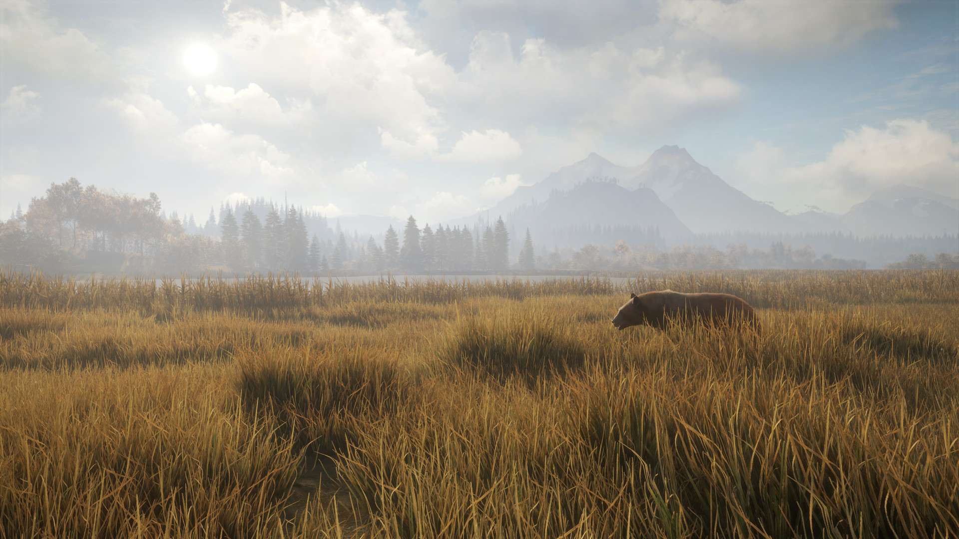 猎人:荒野的召唤/theHunter: Call of the Wild_1