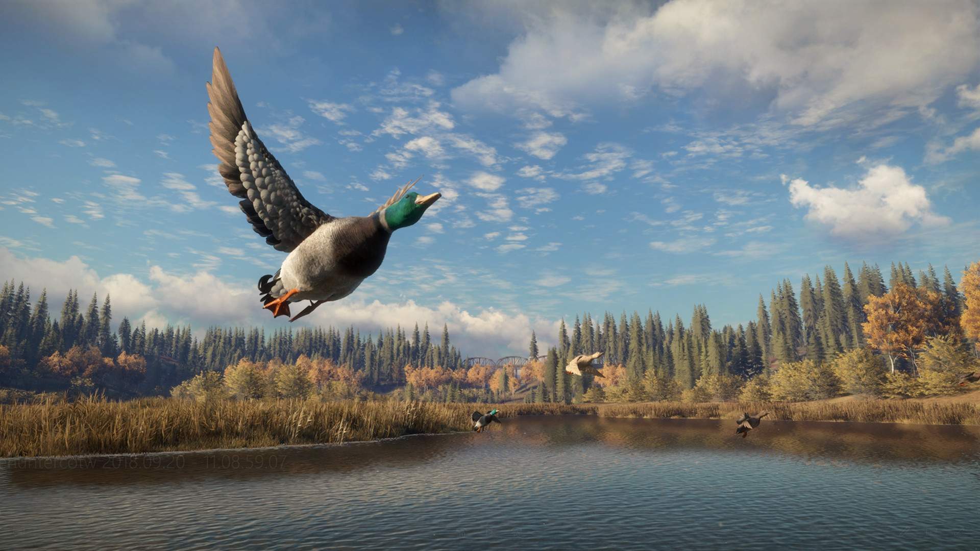 猎人:荒野的召唤/theHunter: Call of the Wild_3