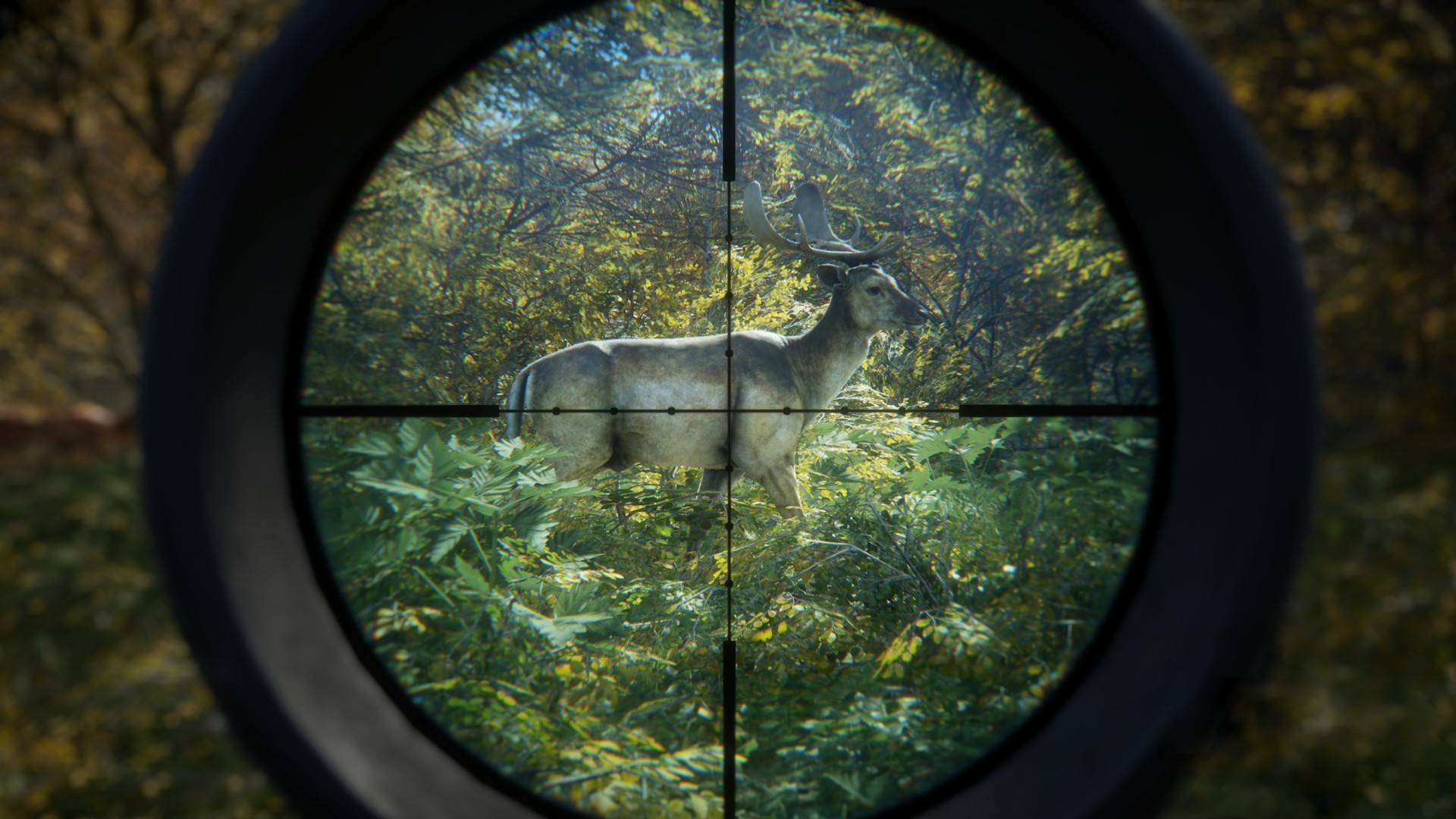 猎人:荒野的召唤/theHunter: Call of the Wild_2