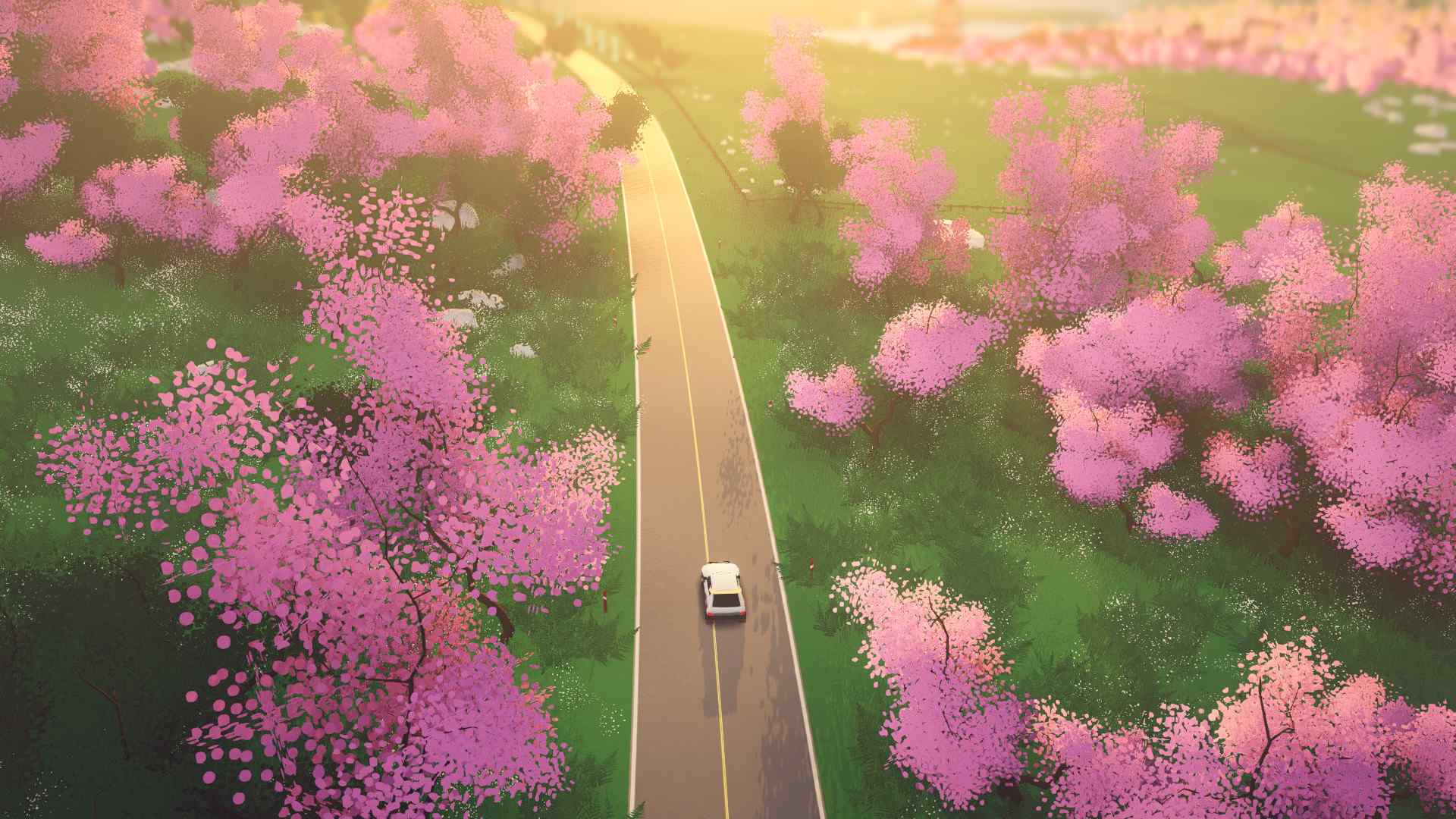 拉力赛艺术/art of rally_4