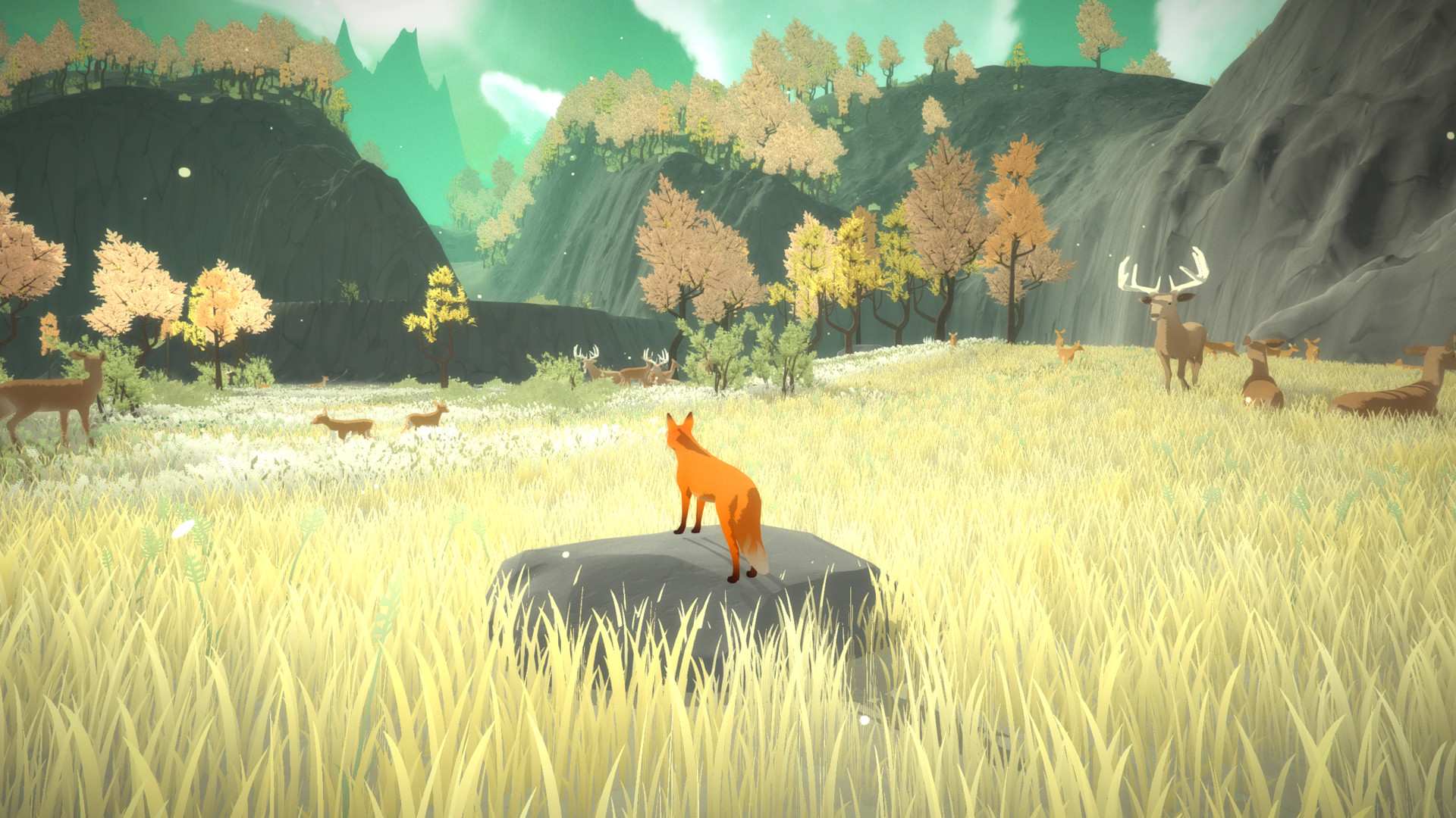 第一棵树/The First Tree_3