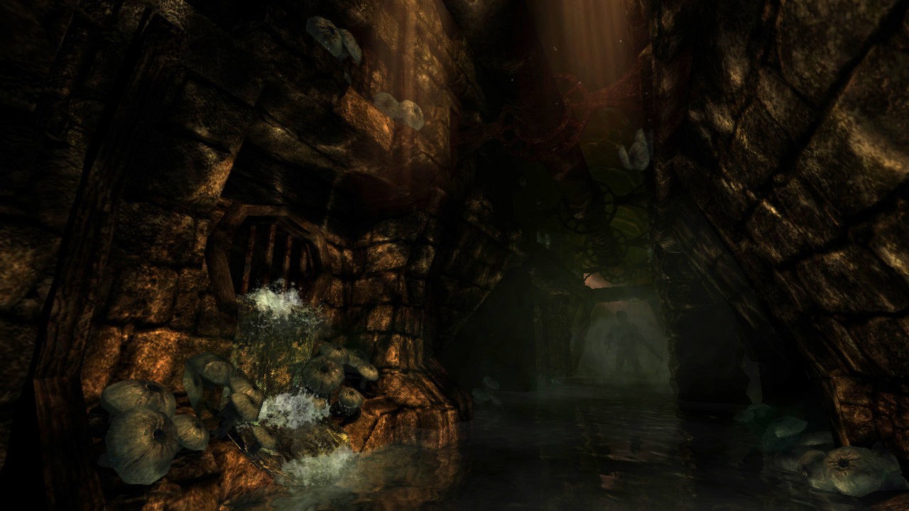 失忆症:黑暗后裔/Amnesia: The Dark Descent_4