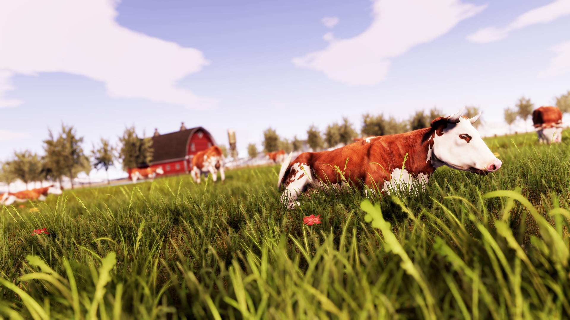 真实农场:黄金版/Real Farm - Gold Edition_2