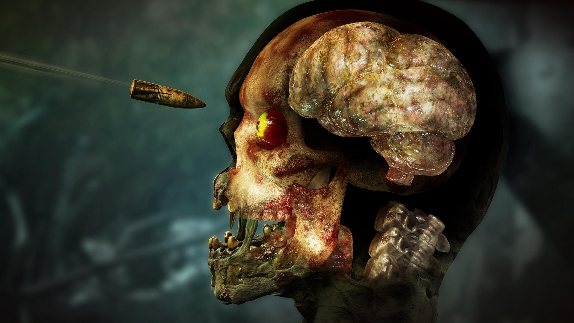 僵尸部队4:死亡战争/Zombie Army 4: Dead War_0