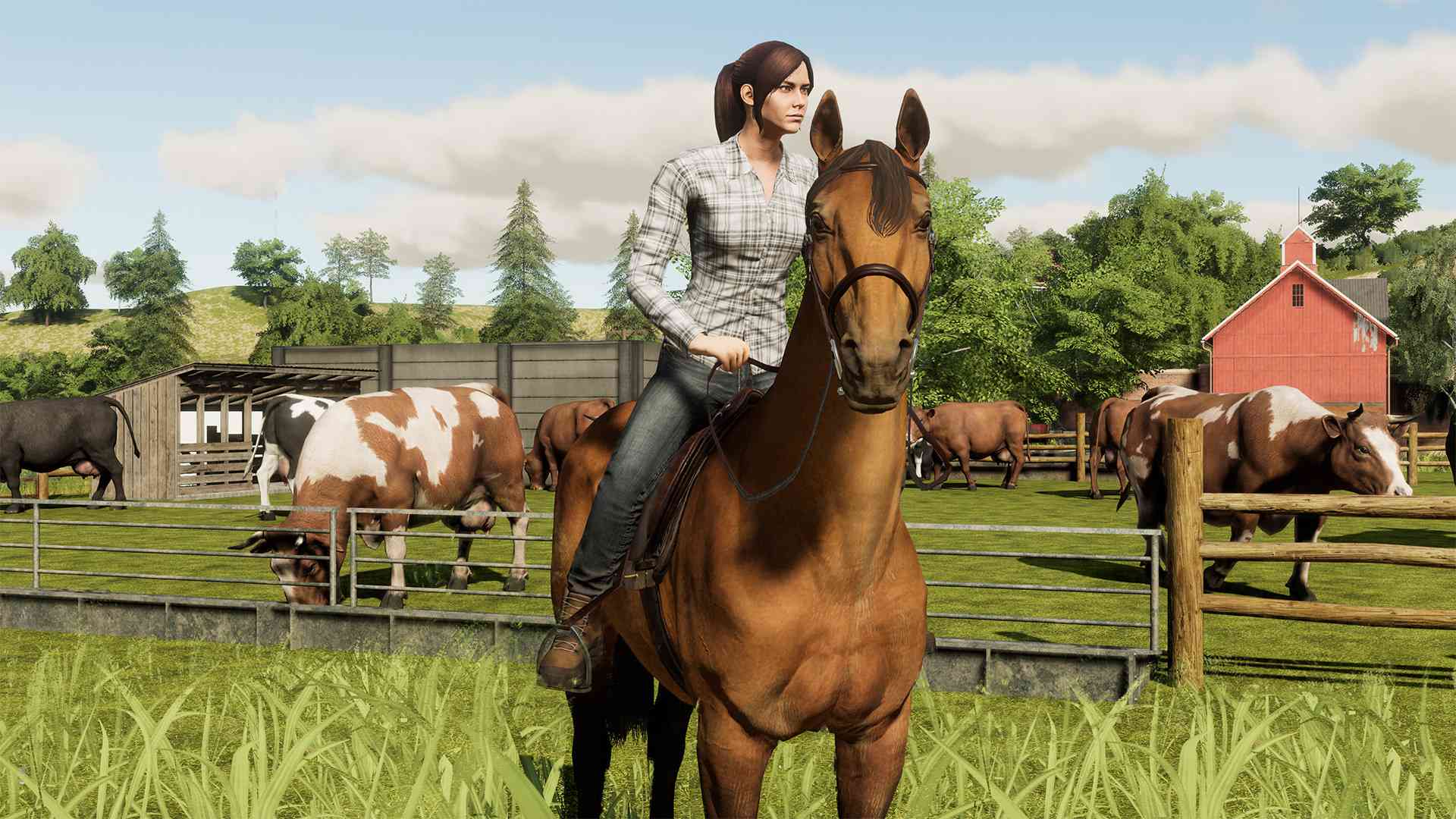 模拟农场19/Farming Simulator 19_2